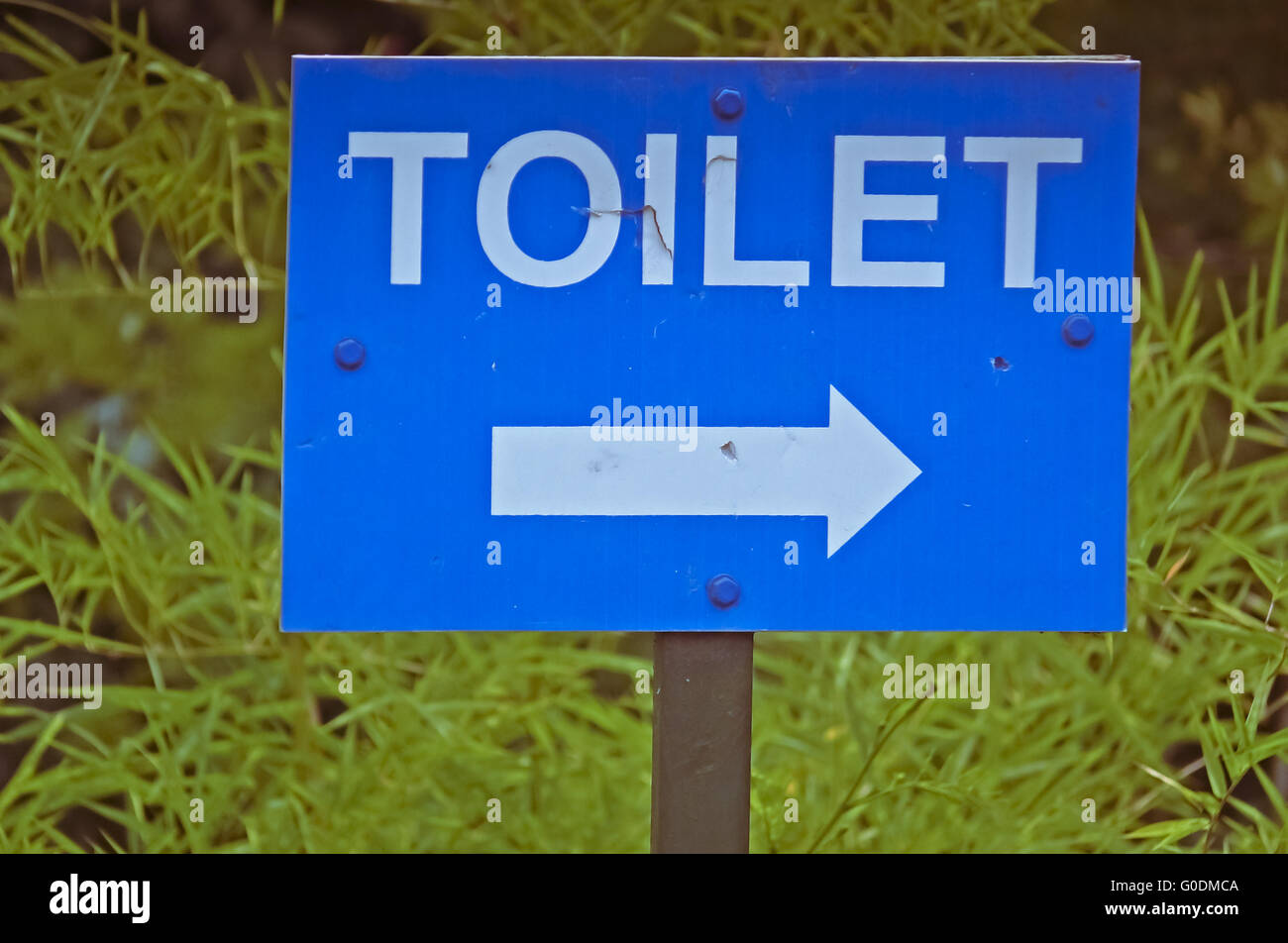 Pfeil auf Schild, die Richtung einer Toilette in einem Garten Stockfoto