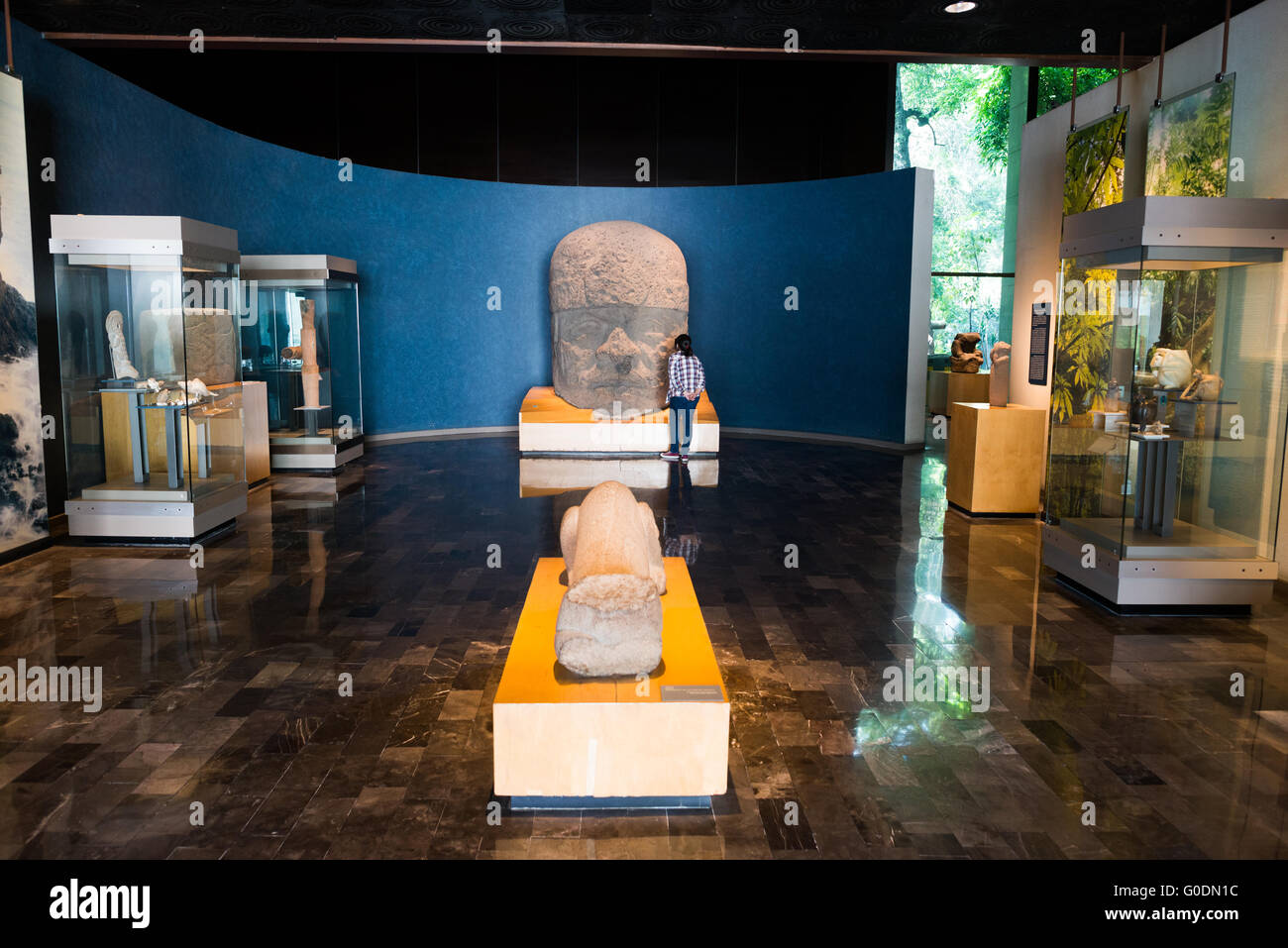 Nationalmuseum für Anthropologie Olmeken-Kolossalkopf Ciudad de México Mexiko | MEXIKO-STADT, MEXIKO — Ein Olmeken-Kolossalkopf, eine monumentale Basaltplastik, ist eine herausragende Ausstellung im Nationalmuseum für Anthropologie (Museo Nacional de Antropología). Diese ikonischen Steinköpfe sind charakteristisch für die antike Olmeken-Zivilisation, die von etwa 1500 bis 400 v. Chr. in Mesoamerika florierte. Das Museum, das sich im Chapultepec-Park befindet, ist Mexikos größtes und meistbesuchtes Museum und beherbergt eine umfangreiche Sammlung präkolumbischer archäologischer und anthropologischer Artefakte. Es zeigt das reiche Erbe von M Stockfoto