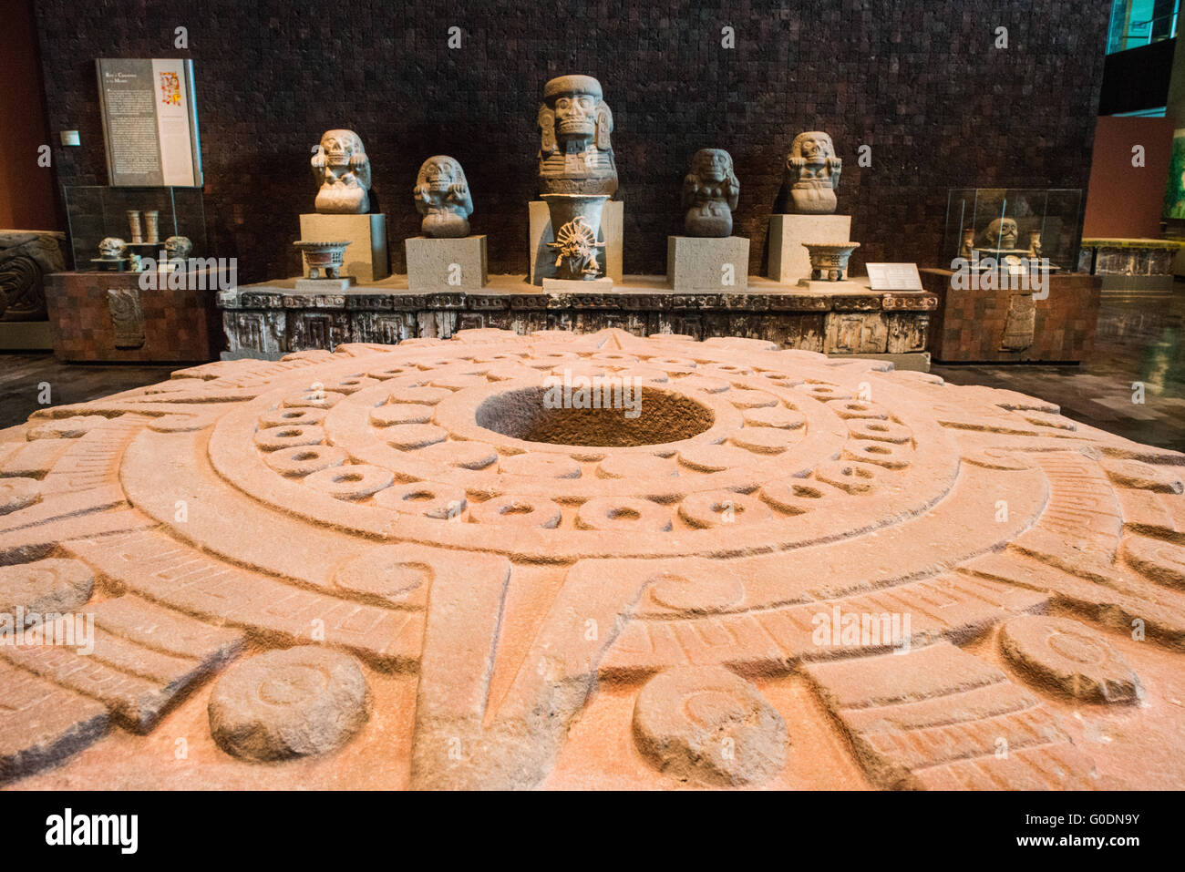Mexica-Stein-Altar Cuauhxicalli Mexica-Saal Nationalmuseum für Anthropologie | MEXIKO-STADT, Mexiko — Die geschnitzte obere Fläche eines großen runden Steinaltars dominiert den Vordergrund des Mexica-Saals im Museo Nacional de Antropología, seine hohle zentrale Vertiefung — charakteristisch für einen Cuauhxicalli — umgeben von aufwendigen Relieffaschen, mit einer Reihe von Götterbüsten, die auf einer skulptierten Plattform dahinter angeordnet sind. Das dunkelrote Tezontle-Vulkanstein-Verkleidungsmaterial der Rückwand ist dasselbe Material, das in der Architektur von Tenochtitlan verwendet wurde, ein bewusster Bezug, den Ramírez Vázquez in die Struktur des Saals einbaute, als der Mus Stockfoto