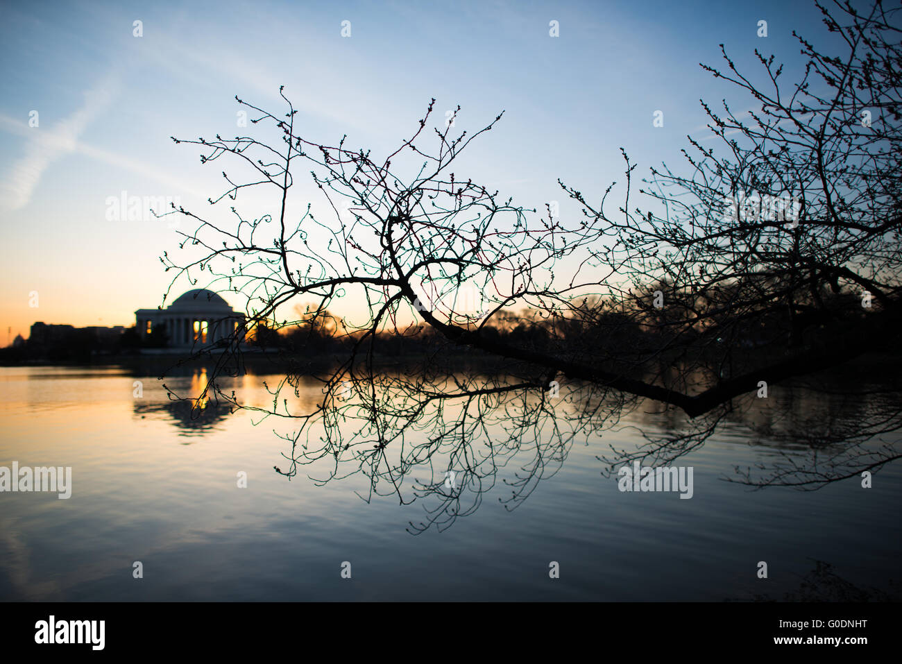 WASHINGTON, D.C., Vereinigte Staaten – das Jefferson Memorial, ein neoklassizistisches Denkmal, das der Gründung von Pater Thomas Jefferson gewidmet ist, steht elegant am Ufer des Tidal Basin in Washington, D.C. dieses ikonische Gebäude mit seiner gewölbten Rotunde und dem Säulenportikus ist eines der bekanntesten und beliebtesten Wahrzeichen der Hauptstadt. Stockfoto