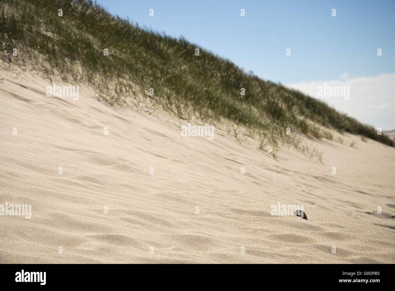 Dünen Stockfoto