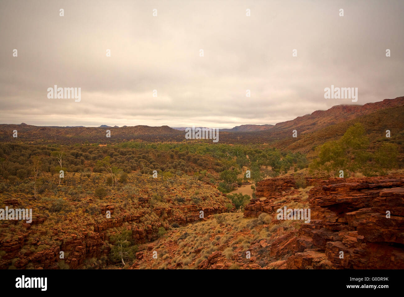 Trephina Gorge, NT, Australien Stockfoto