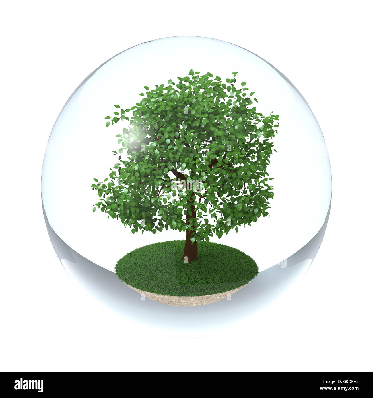 Grüner Baum in transparenten Kugel, Ökologie Symbol Stockfoto