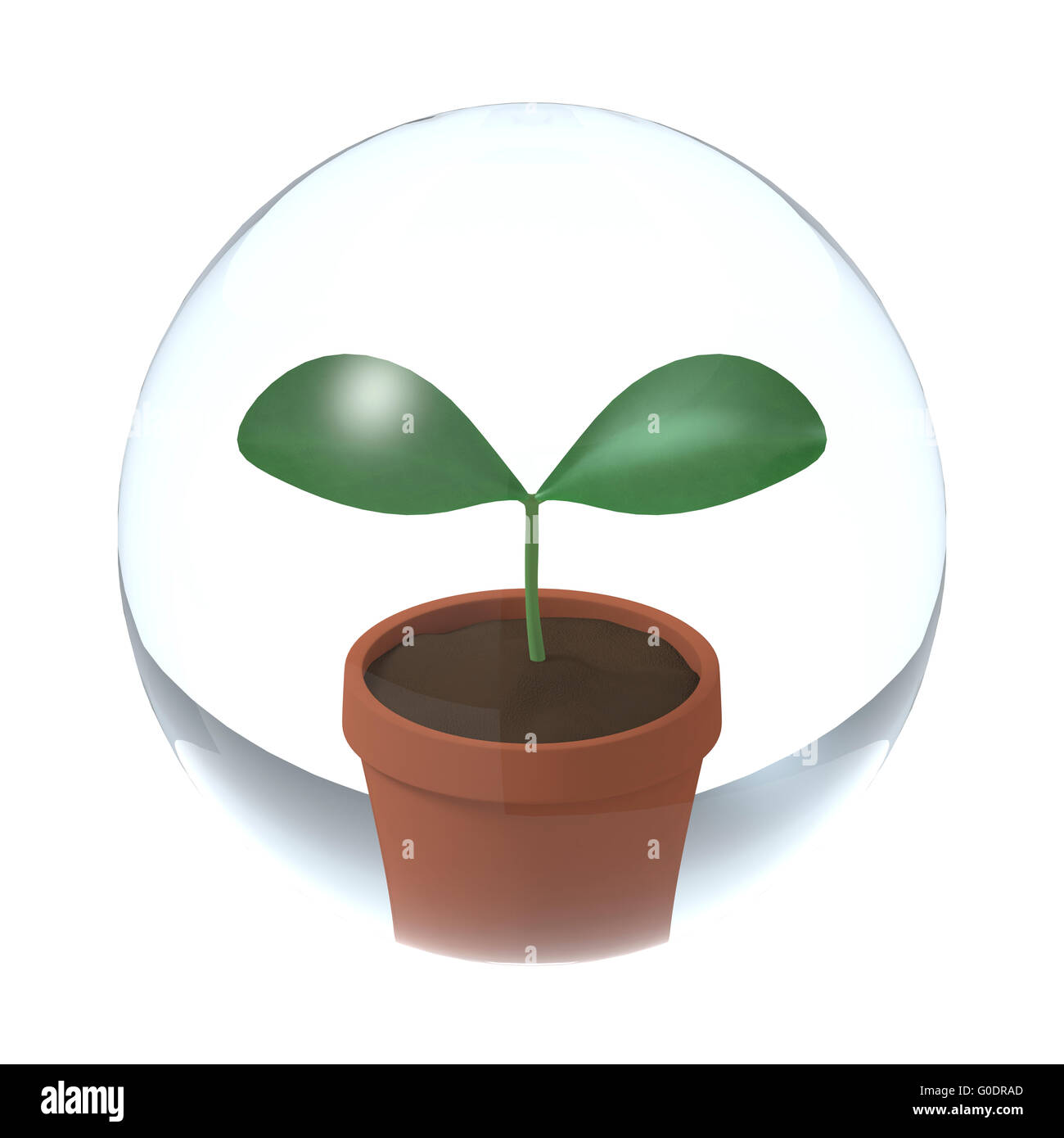 Sprout, grüne Blätter, Ökologie Symbol Stockfoto