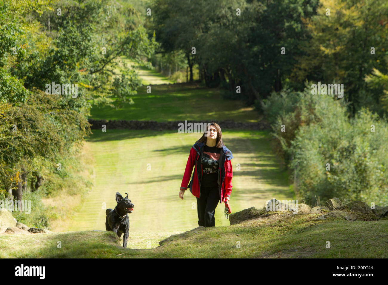 schöne Frau zu Fuß Hund Stockfoto