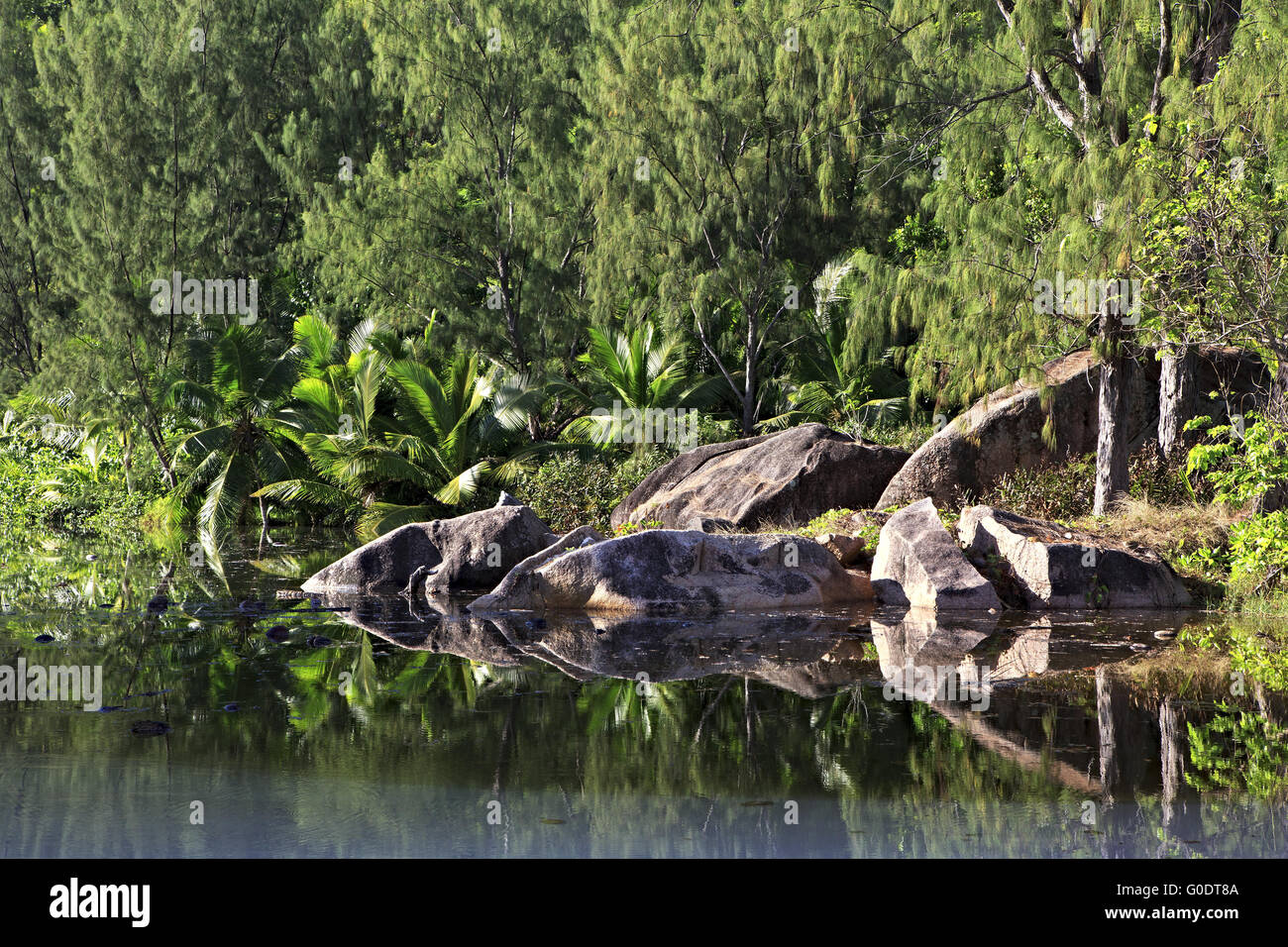 Schöner See mit Steinblöcken in der Nähe von Le Chevalier Bay Guesthouse Stockfoto