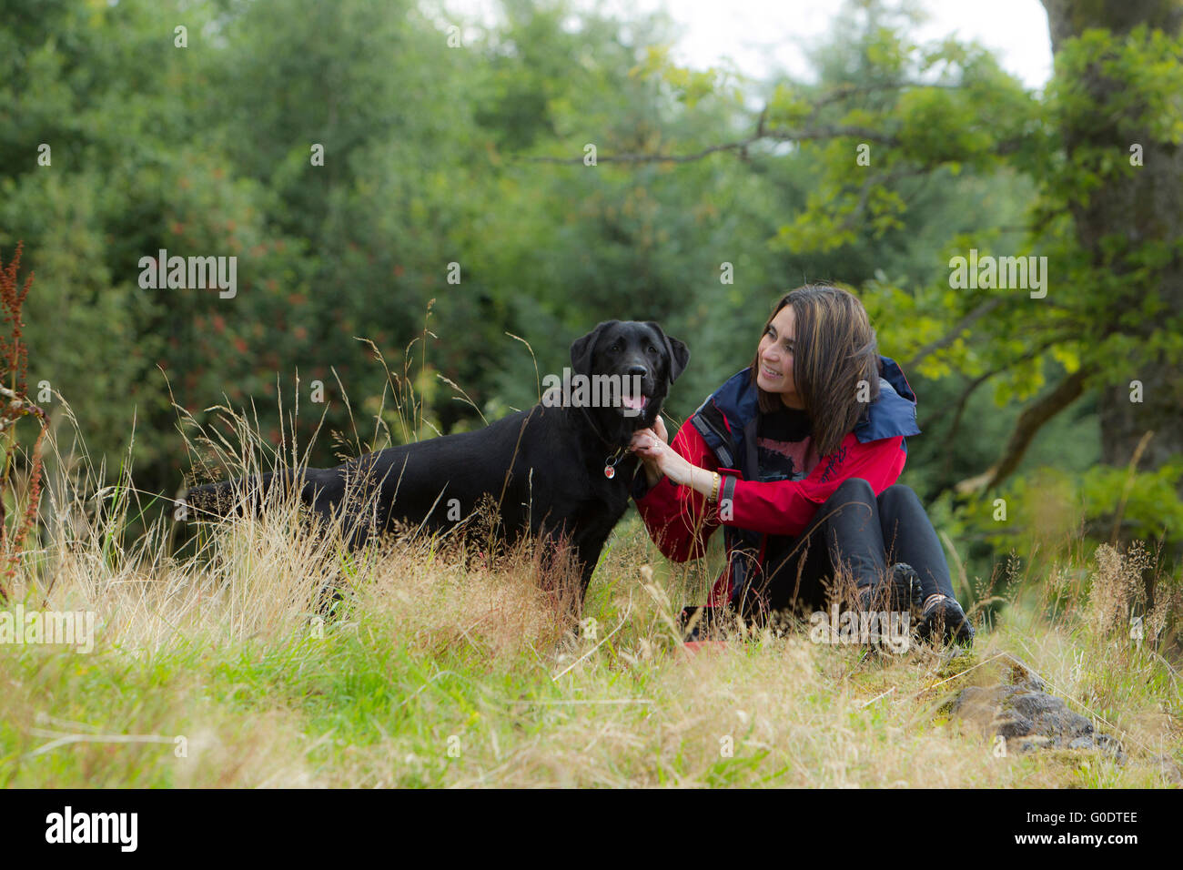 schöne Frau zu Fuß Hund Stockfoto