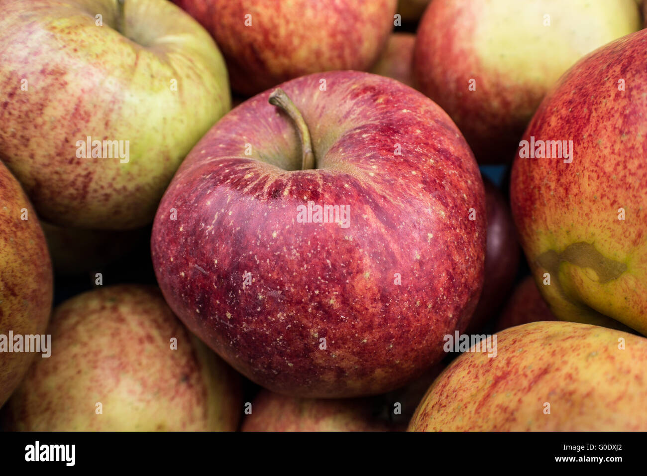 Äpfel, Füllung Bild Stockfoto