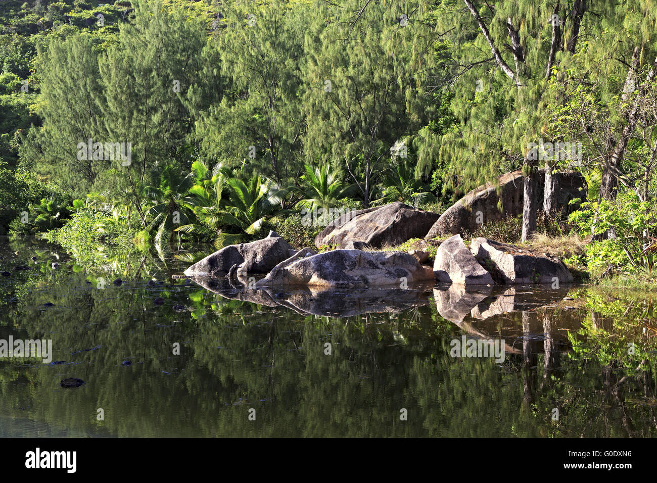 Schöner See mit Steinblöcken in der Nähe von Le Chevalier Bay Guesthouse Stockfoto
