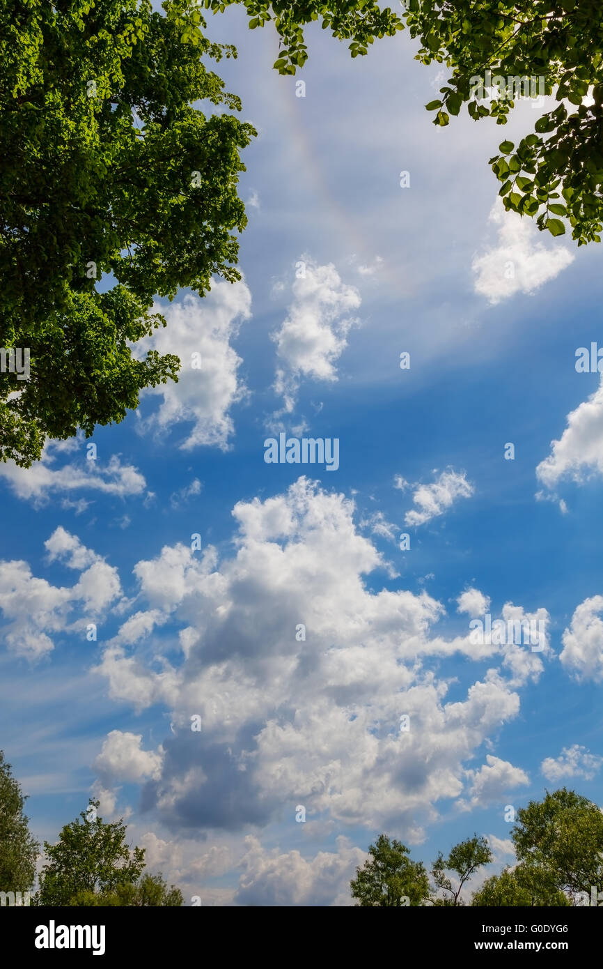 Soblakami schönen Himmel und den Halo-Effekt im Rahmen der Zweige. Hintergrund Stockfoto