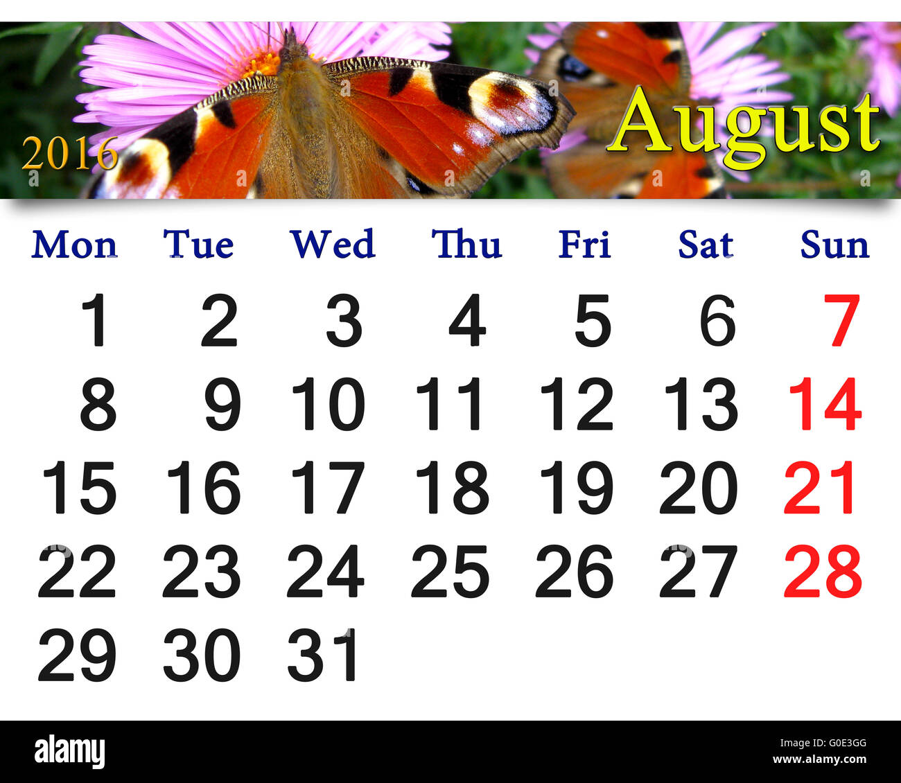 Kalender August 2016 mit Bild des Schmetterlings o Stockfoto