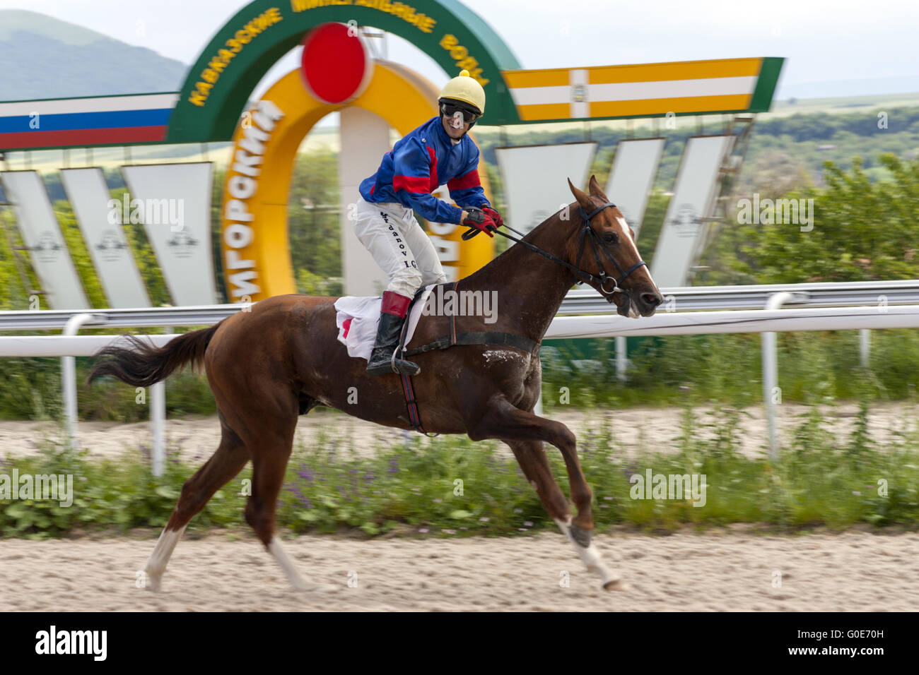 Der Gewinner Stockfoto