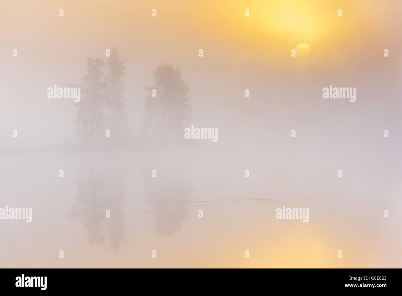 Morgen-Stimmung, Lappland, Schweden Stockfoto