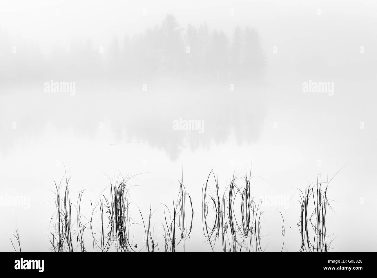 Morgennebel am See, Lappland, Schweden Stockfoto