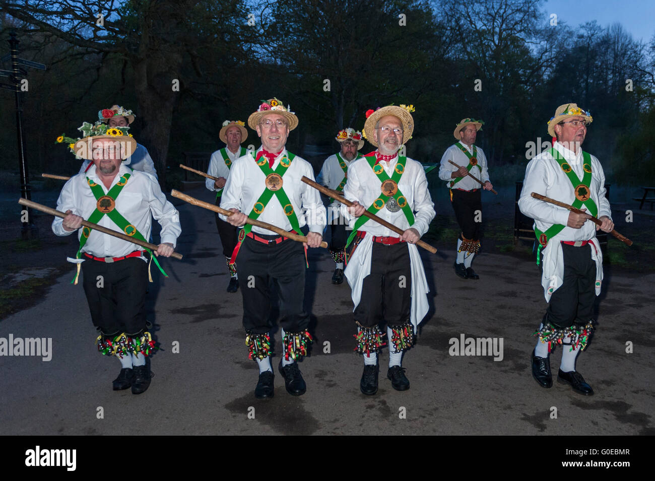 Watford, UK.  1. Mai 2016.  Die Woodside Morris Männer führen einen traditionellen Morris Tanz in Cassiobury Park, Watford im Nordwesten von London, bei Sonnenaufgang zu feiern Maifeiertag und das kommen des Sommers in Ritualen, die Hunderte von Jahren zurückreichen.  Tradition hat es, dass das Ritual des Tanzens zu diesem Zeitpunkt einen warmen und fruchtbaren Sommer bringt.  Mit Stöcken und Taschentücher, die Luft zu reinigen und zu wecken, die Erde, die Tänzer sind begleitet von Musikern, die traditionellen Instrumente spielen. Bildnachweis: Stephen Chung / Alamy Live News Stockfoto