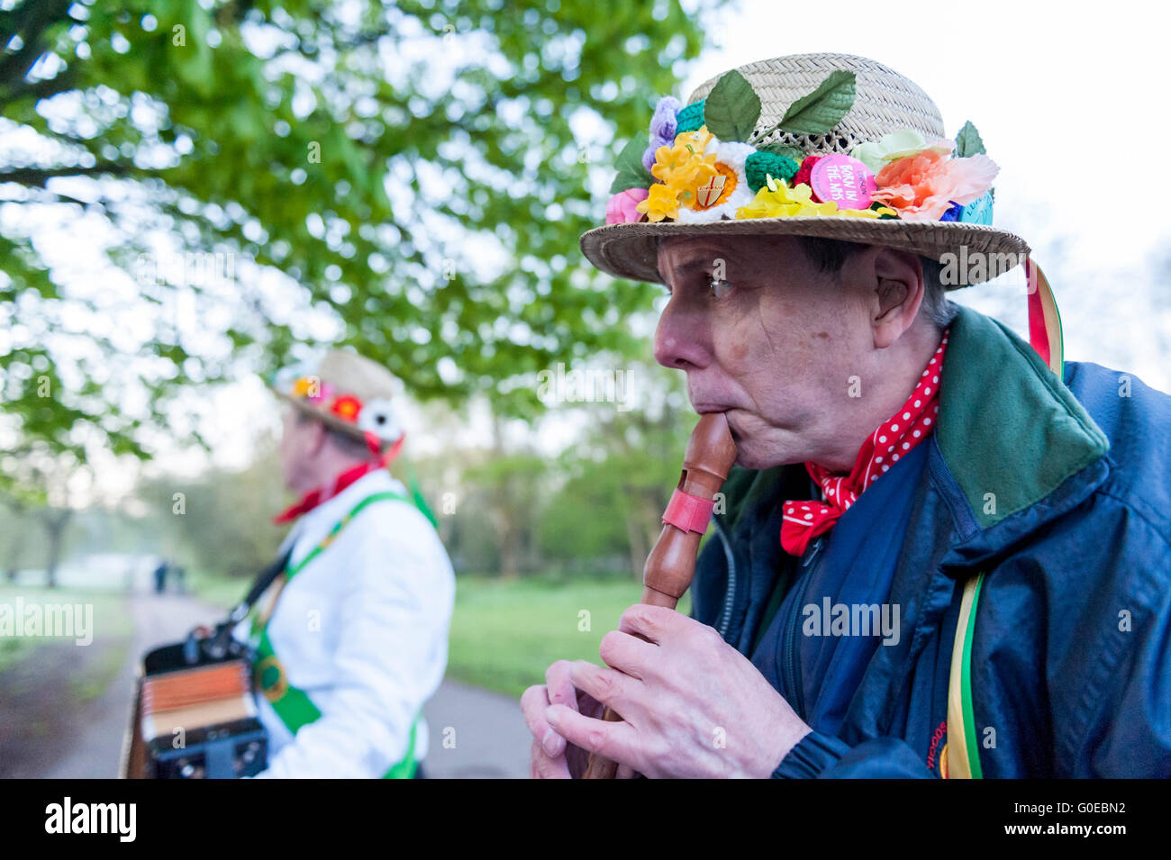 Watford, UK.  1. Mai 2016.  Die Woodside Morris Männer führen einen traditionellen Morris Tanz in Cassiobury Park, Watford im Nordwesten von London, bei Sonnenaufgang zu feiern Maifeiertag und das kommen des Sommers in Ritualen, die Hunderte von Jahren zurückreichen.  Tradition hat es, dass das Ritual des Tanzens zu diesem Zeitpunkt einen warmen und fruchtbaren Sommer bringt.  Mit Stöcken und Taschentücher, die Luft zu reinigen und zu wecken, die Erde, die Tänzer sind begleitet von Musikern, die traditionellen Instrumente spielen. Bildnachweis: Stephen Chung / Alamy Live News Stockfoto