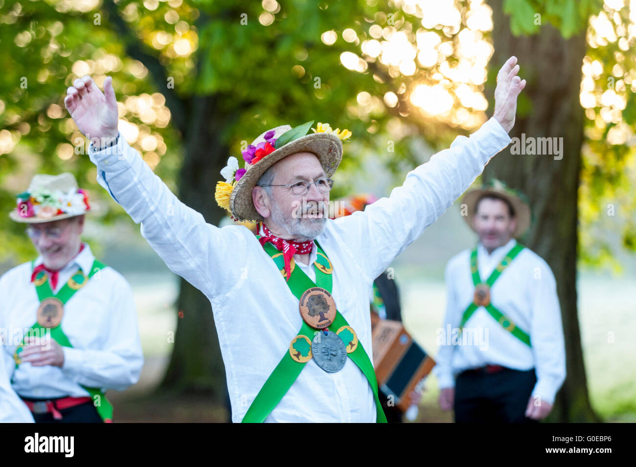 Watford, UK.  1. Mai 2016.  Die Woodside Morris Männer führen einen traditionellen Morris Tanz in Cassiobury Park, Watford im Nordwesten von London, bei Sonnenaufgang zu feiern Maifeiertag und das kommen des Sommers in Ritualen, die Hunderte von Jahren zurückreichen.  Tradition hat es, dass das Ritual des Tanzens zu diesem Zeitpunkt einen warmen und fruchtbaren Sommer bringt.  Mit Stöcken und Taschentücher, die Luft zu reinigen und zu wecken, die Erde, die Tänzer sind begleitet von Musikern, die traditionellen Instrumente spielen. Bildnachweis: Stephen Chung / Alamy Live News Stockfoto