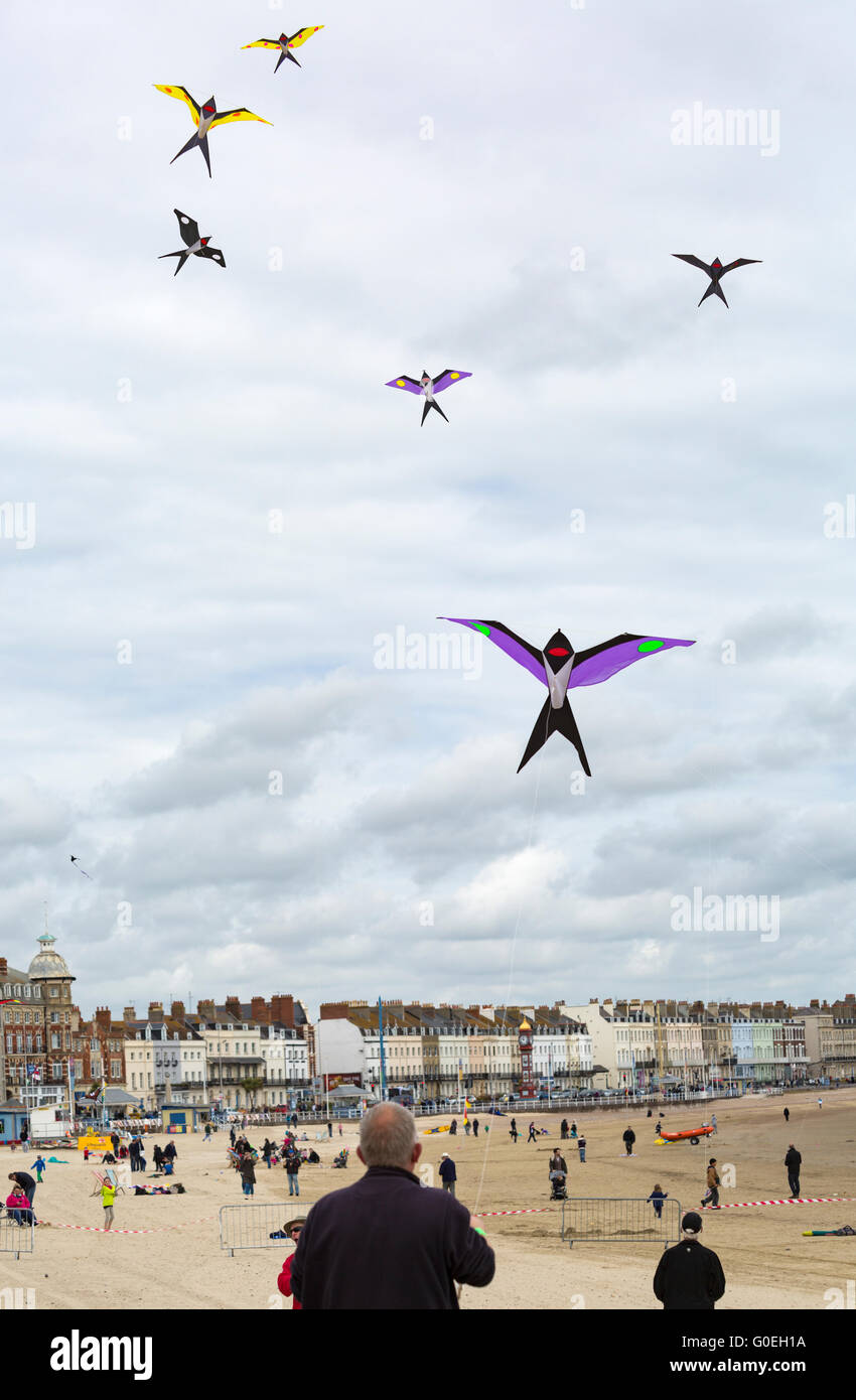 Weymouth, Dorset, Vereinigtes Königreich, 1. Mai 2016. Besucher begeben sich zum Weymouth Beach, um die wundervolle Ausstellung von Drachen zu sehen, die beim Weymouth Kite Festival geflogen werden, Drachen in Form von Vögeln, die am blauen Himmel fliegen. Kredit: Carolyn Jenkins/Alamy Live News Stockfoto