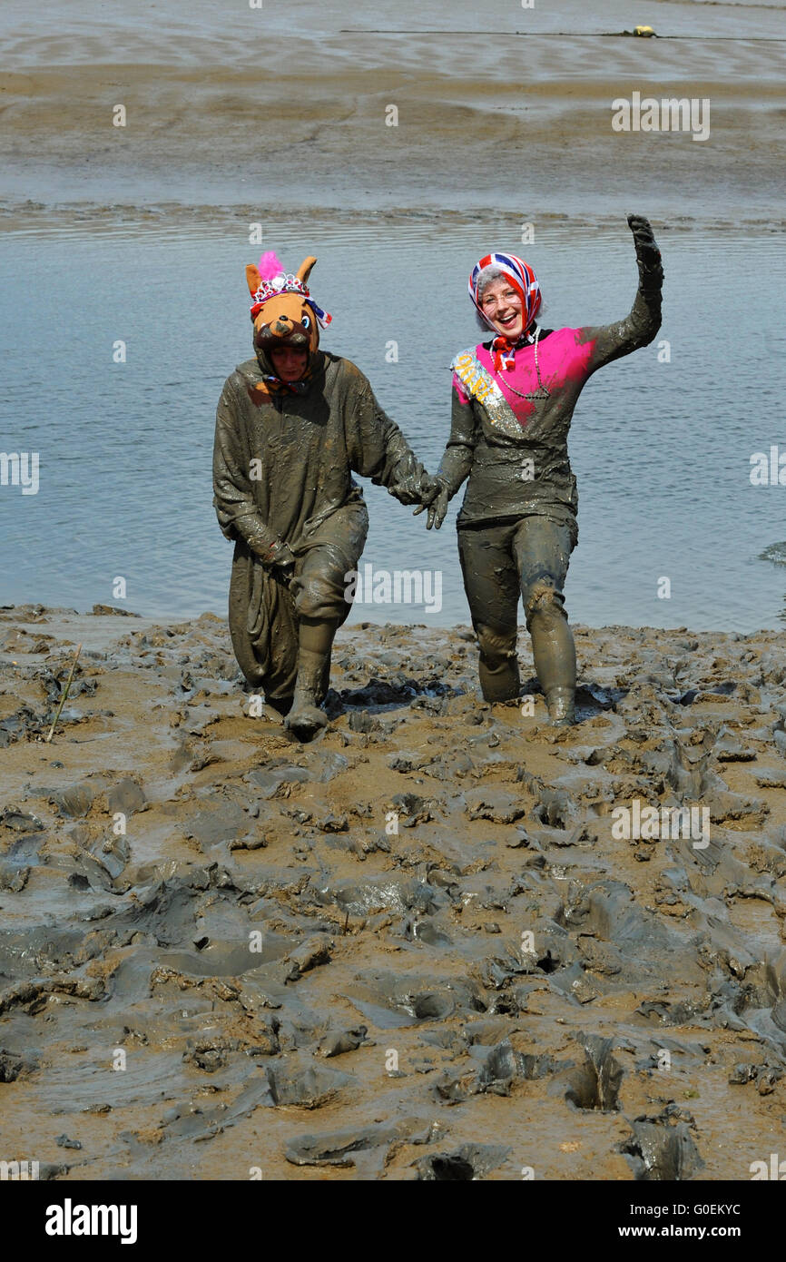 Maldon, Essex, England. 1. Mai 2016. Konkurrenz als die Königin, und eines ihrer Corgi-Hunde, die ihren Weg durch den Schlamm bis zur Ziellinie, während die jährliche Maldon Mud Race in Maldon, Ostengland verkleidet. Entstand im Jahre 1973, beinhaltet das Rennen Konkurrenten im Rennen um einen Kurs durch den Fluss Blackwater in Essex bei Ebbe. Bildnachweis: Michael Preston/Alamy Live-Nachrichten Stockfoto