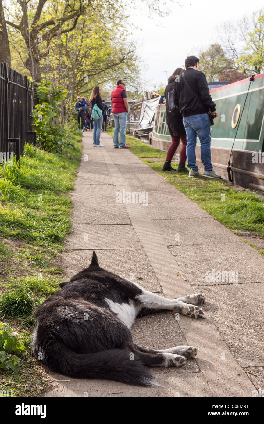 London, UK. 1. Mai 2016. Kanalboote versammeln sich an Klein-Venedig am Grand Union Canal zum Inland Waterways Association Kavalkade. Bildnachweis: Joe Dunckley/Alamy Live-Nachrichten Stockfoto