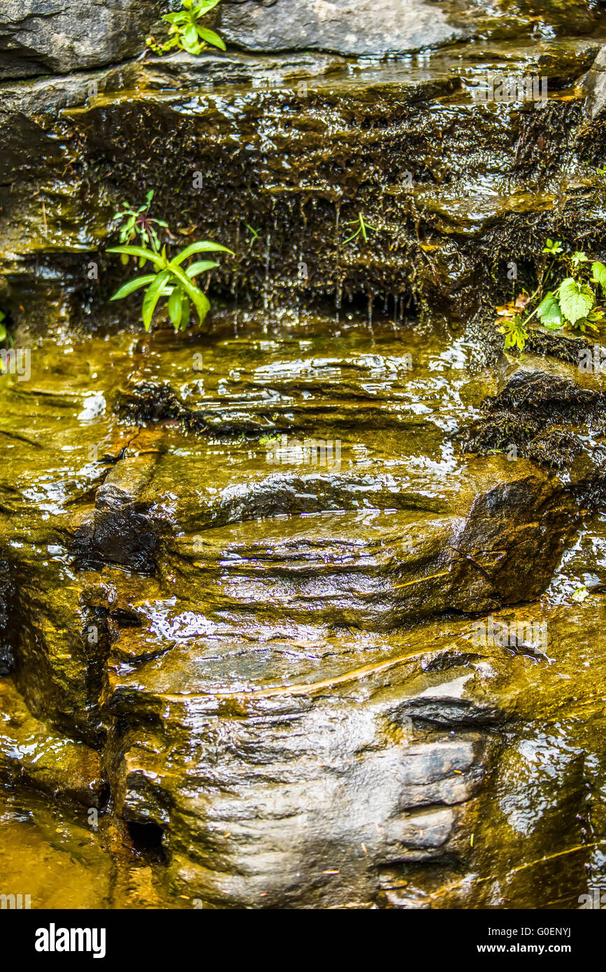 Hickory Mutter Wasserfälle im Tageslicht Sommer Stockfoto