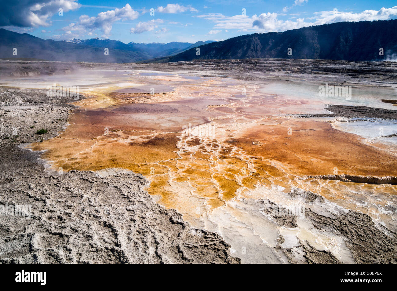 Geologische Wunder der Mammoth Hot Springs Yellowst Stockfoto