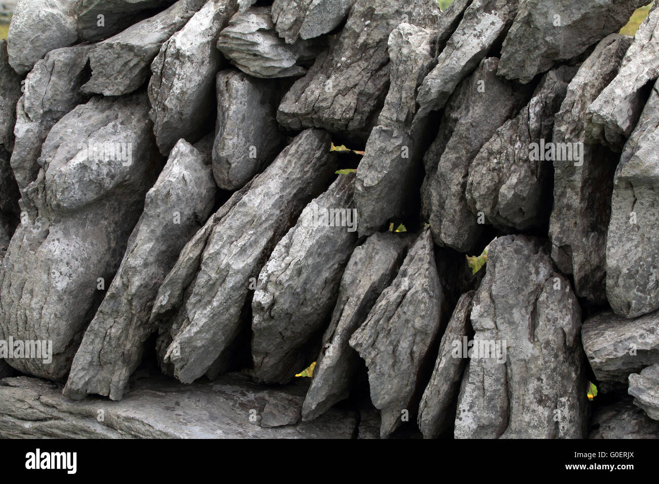 Trocknen von Mauerwerk, Burren, County Clare, Irland Stockfoto