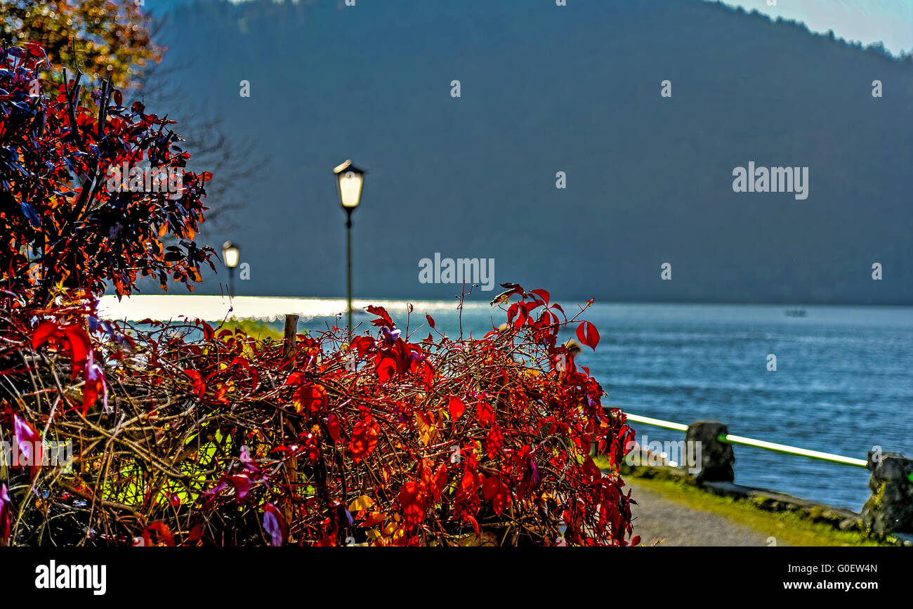 Herbst am See Schliersee, Oberbayern Stockfoto