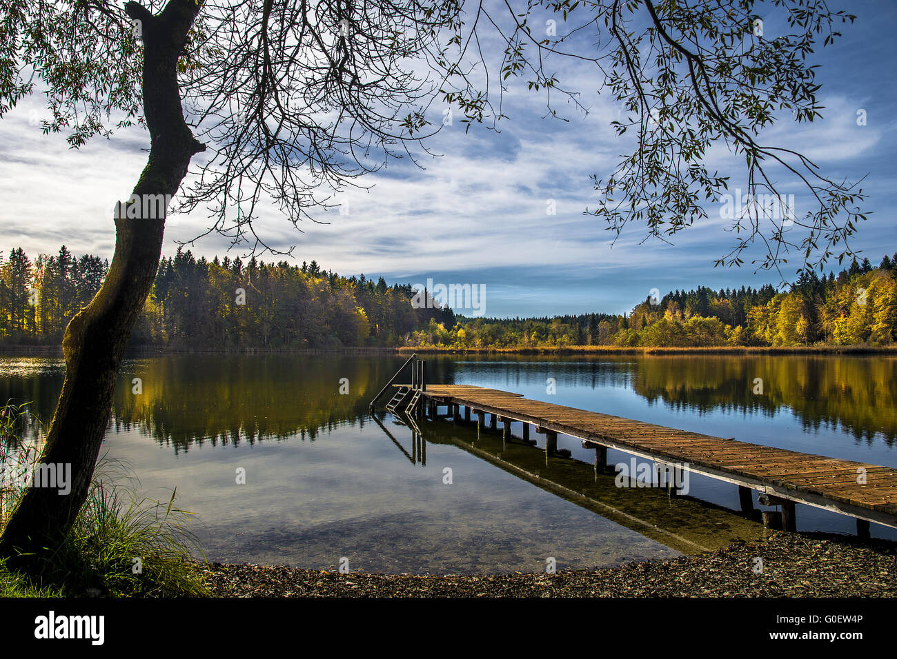 Herbst am See Brunnsee, Oberbayern Stockfoto