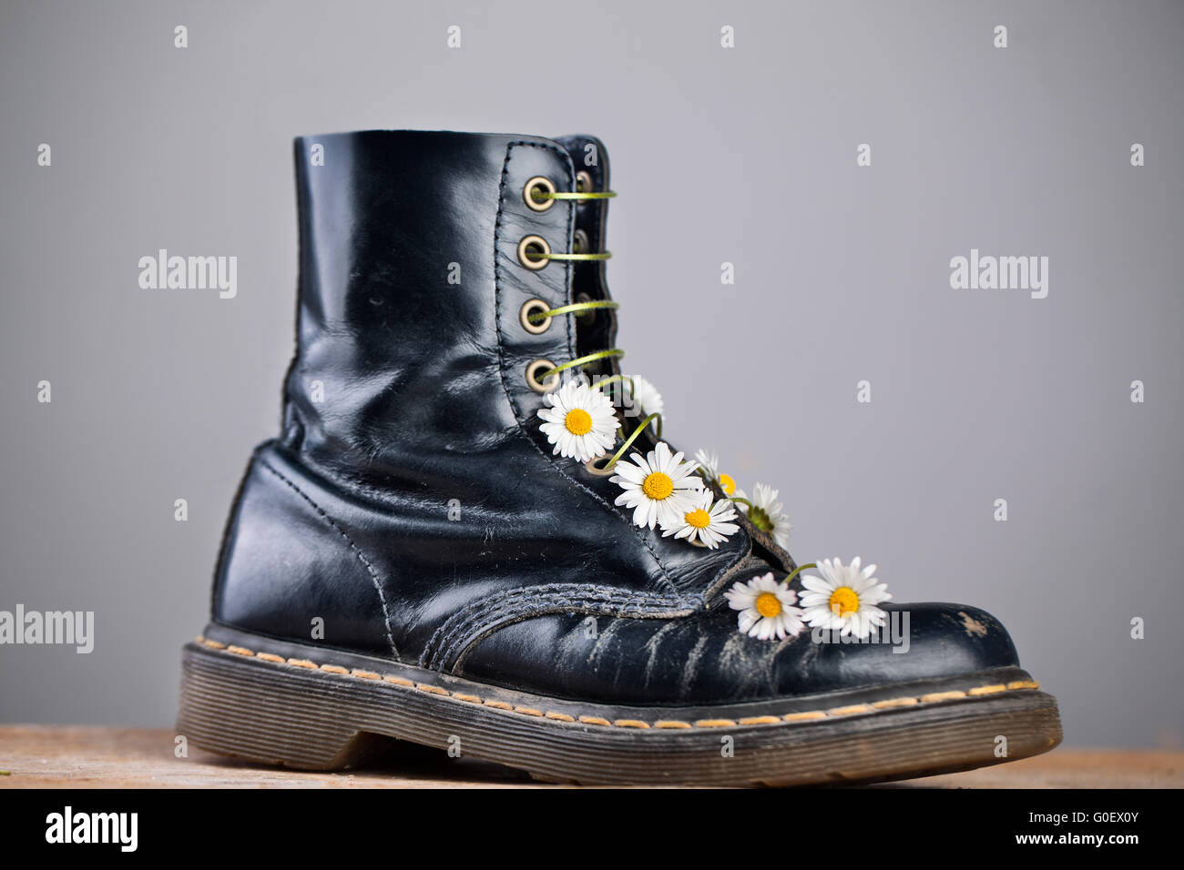 Stiefel mit Blumen-Gänseblümchen Stockfoto