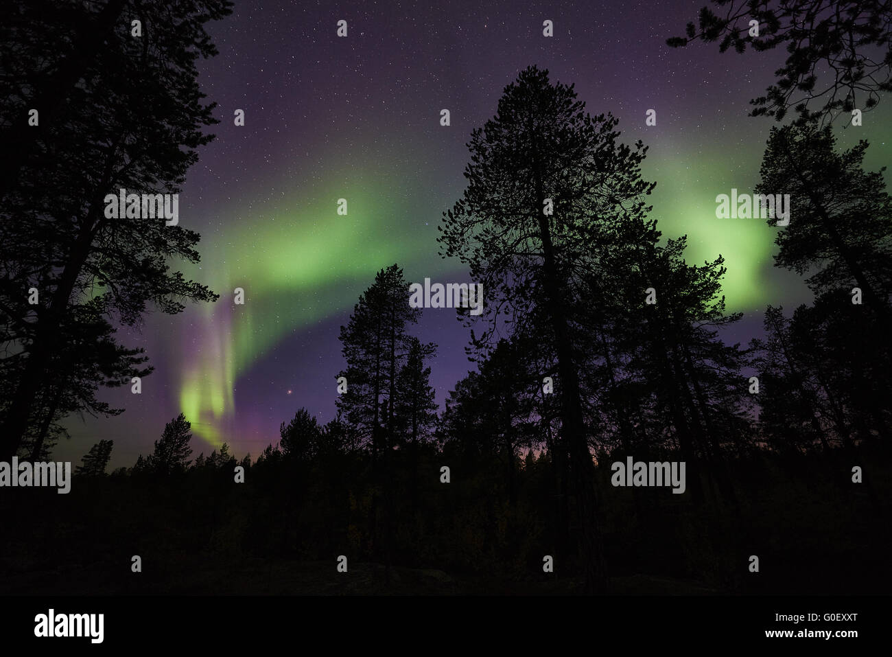 Nordlicht, Lappland, Schweden Stockfoto