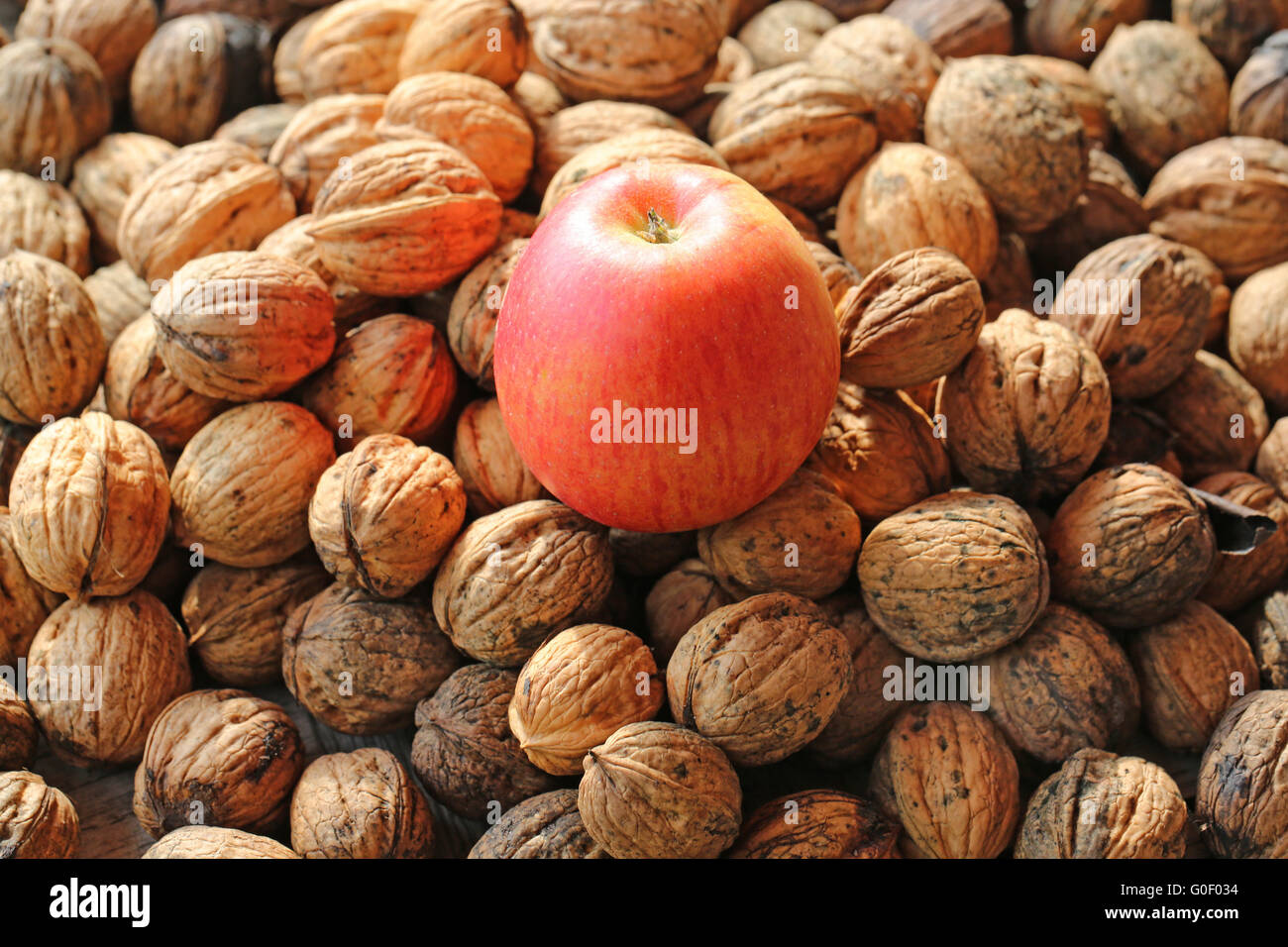 Muttern mit Apfel Stockfoto