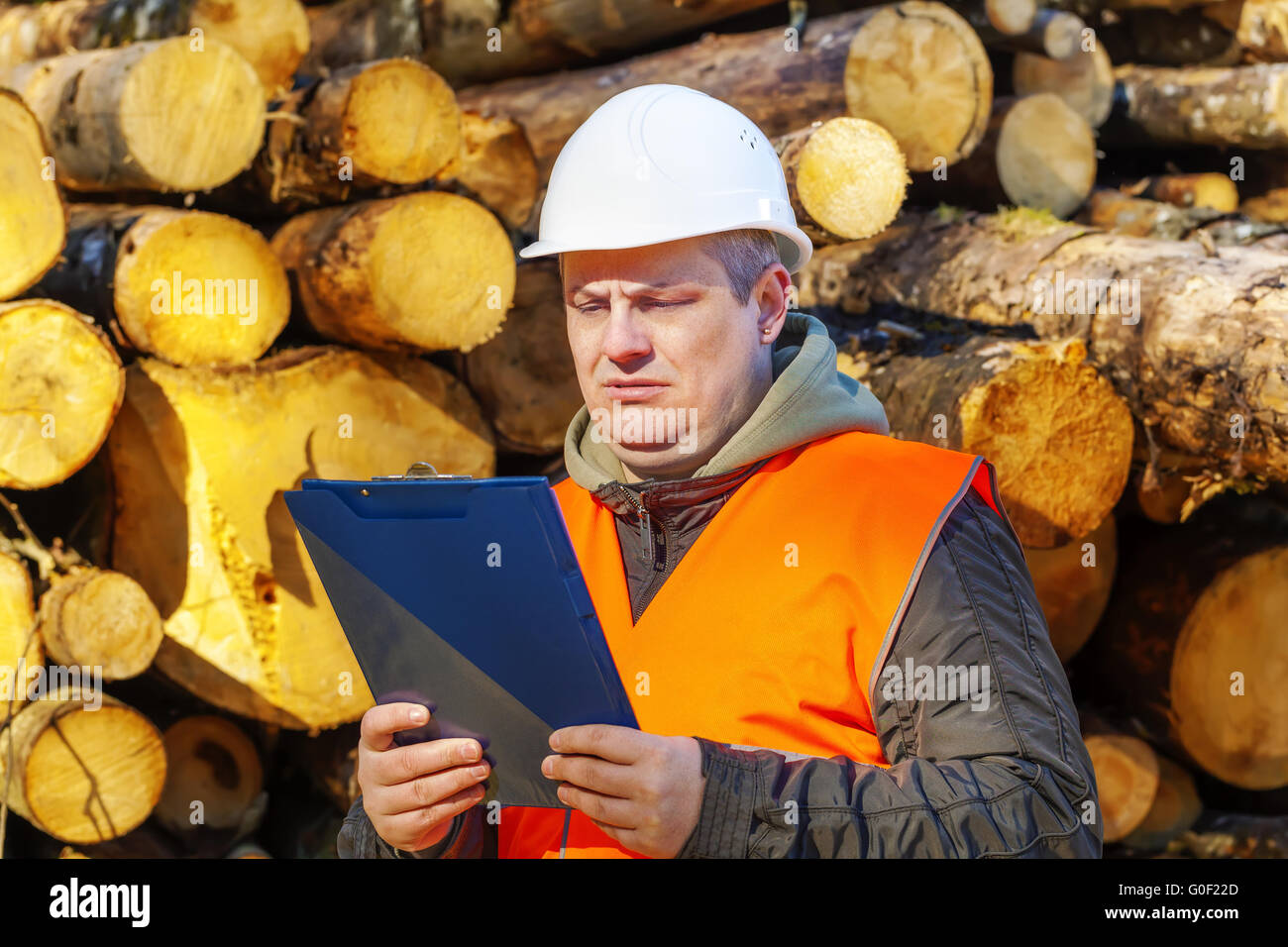 Holzfäller mit Ordner in der Nähe von Protokollen im Wald Stockfoto