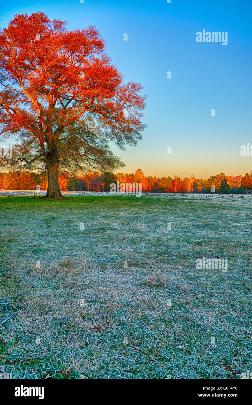 Feld-Hof mit Frost am Morgen Sonnenaufgang Stunde Stockfoto