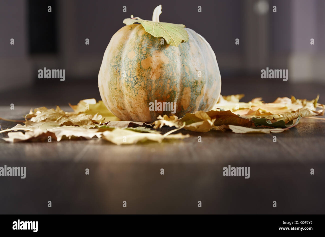 Herbst Stockfoto Herbst Stockfoto