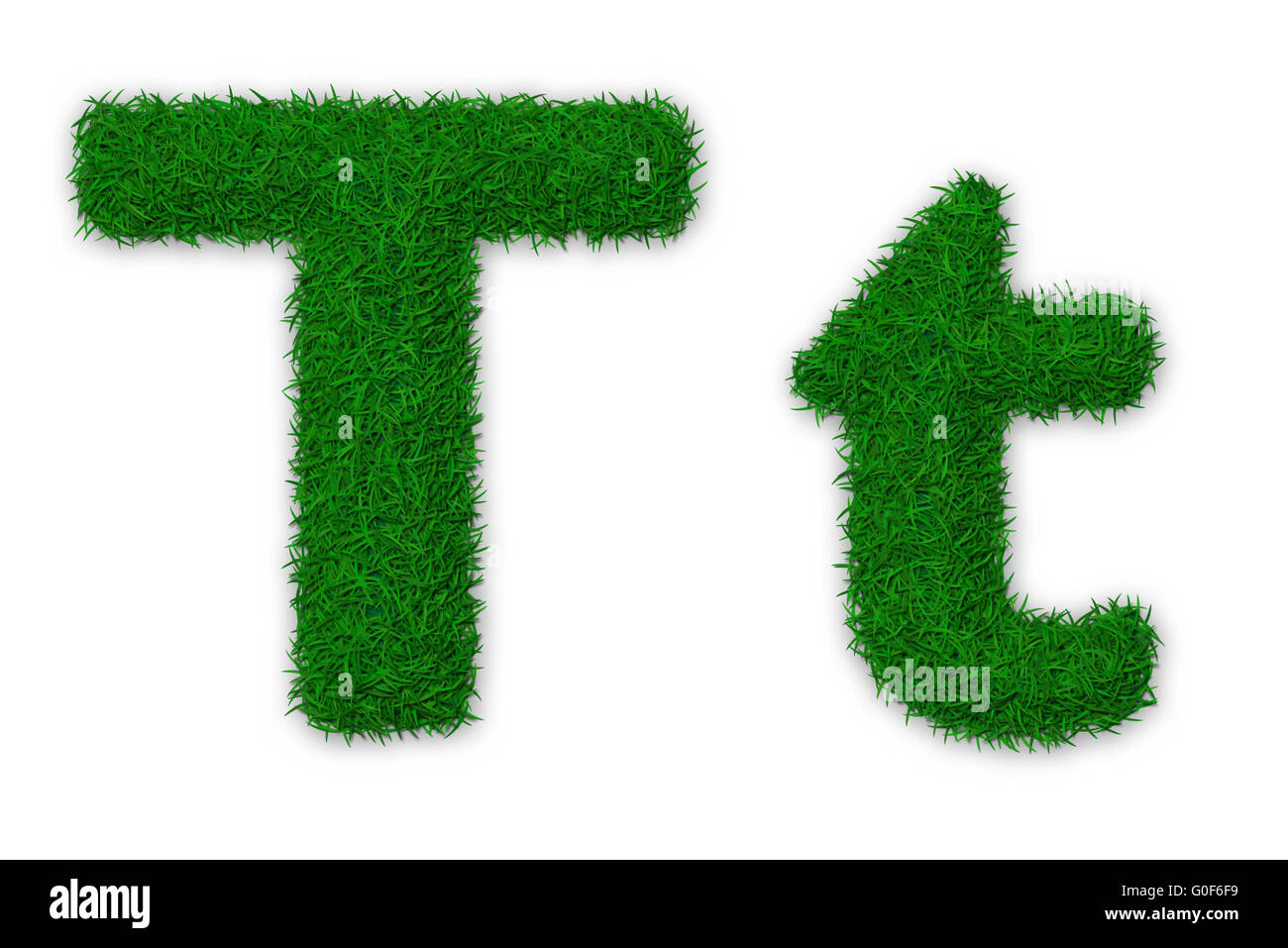 Abbildung von Kapital und Kleinbuchstabe T gemacht Gras Stockfoto
