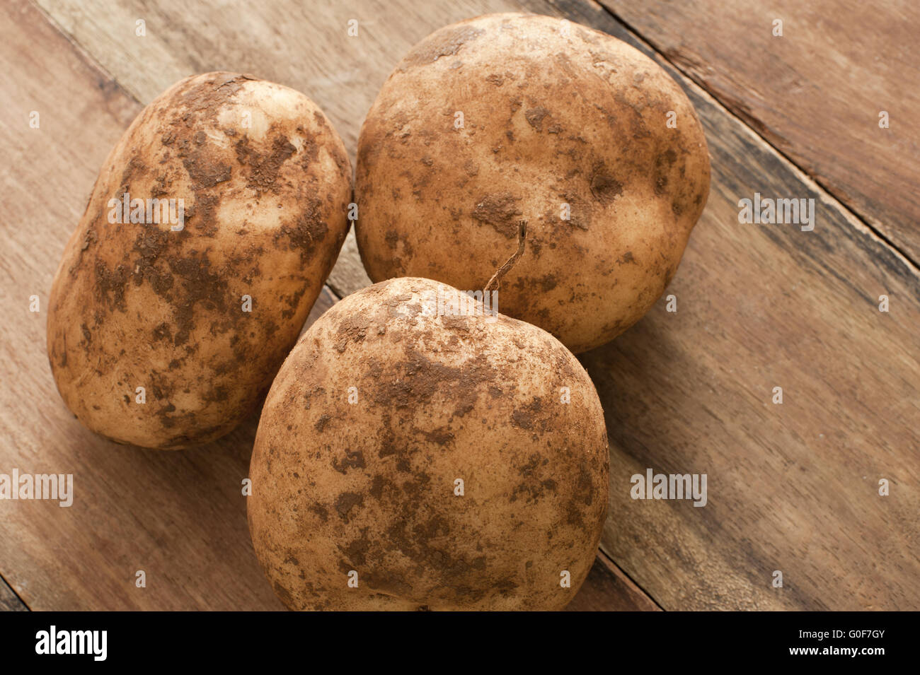 Ungewaschenen hofeigene Kartoffeln Stockfoto