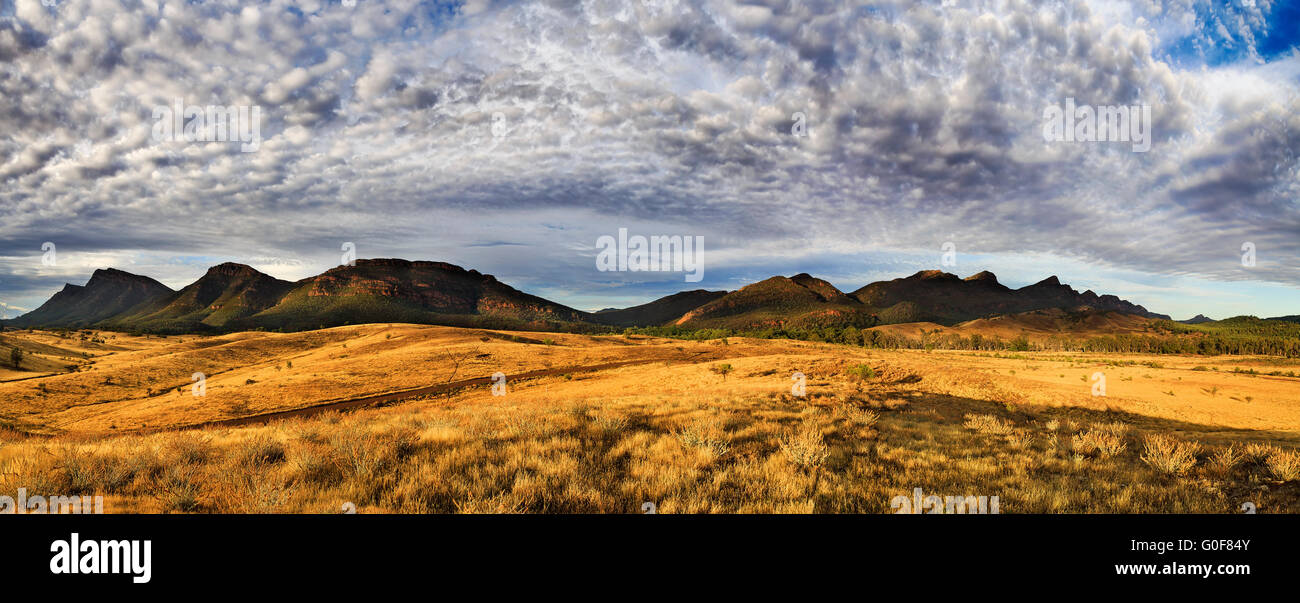 Wilpena Pound Kalkstein Gebirge im Flinders Ranges National Park am Morgen. Warmen Sonnenlicht hebt outback Rasen und Stockfoto