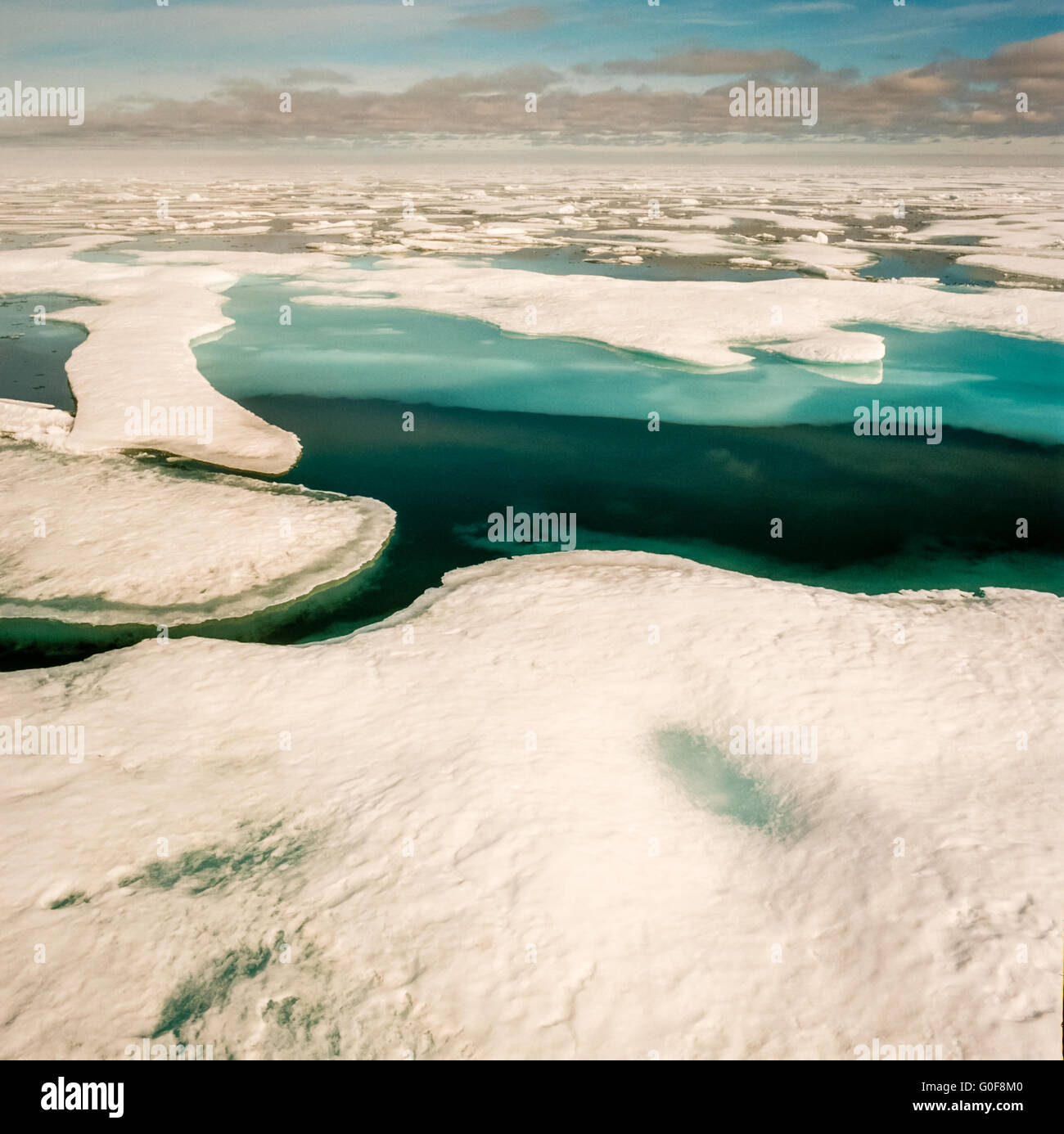 Blatt-Eisschmelze in der Arktis Stockfoto