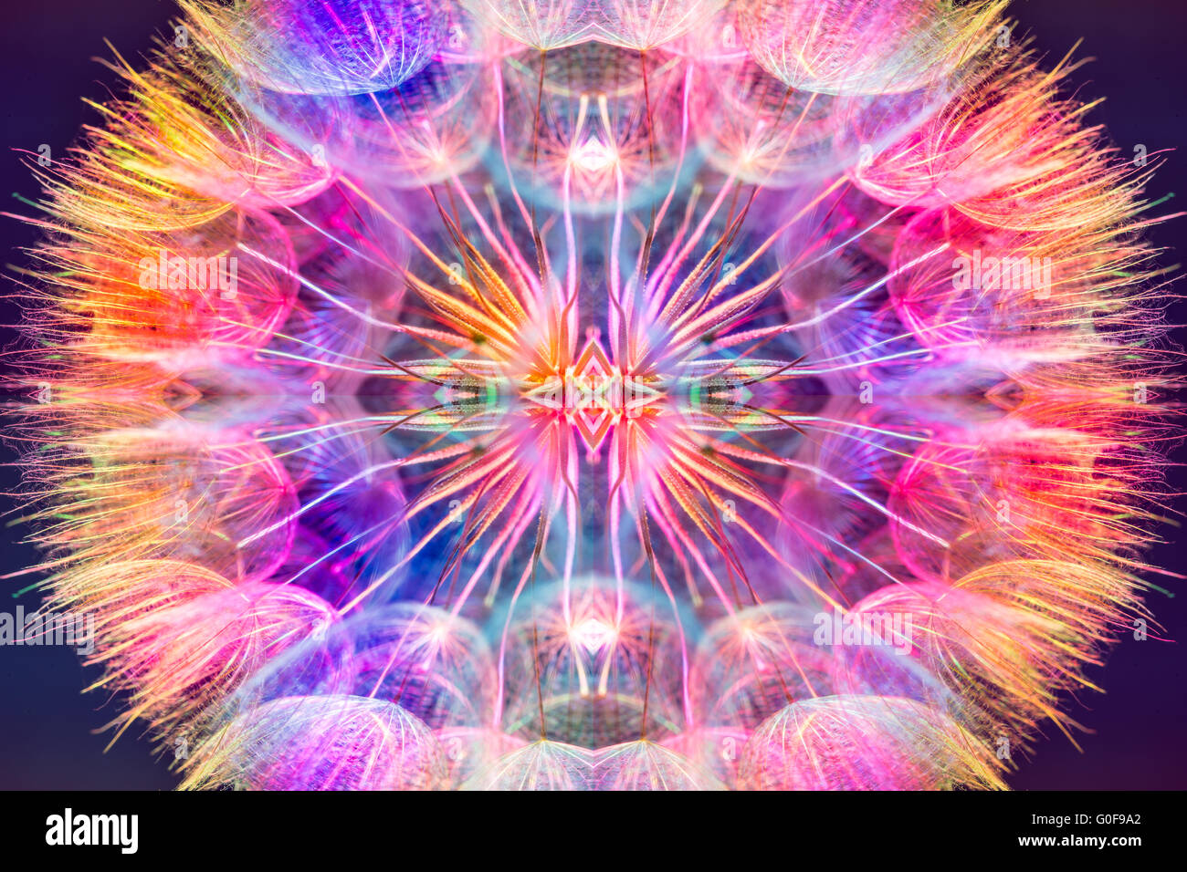 Bunte pastellfarbenen Hintergrund - leuchtende Farben abstrakt Löwenzahn Blume - extreme Nahaufnahme mit soft focus Stockfoto