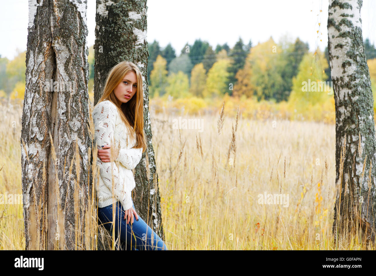 Frau unter Birken im Herbst Feld Stockfoto