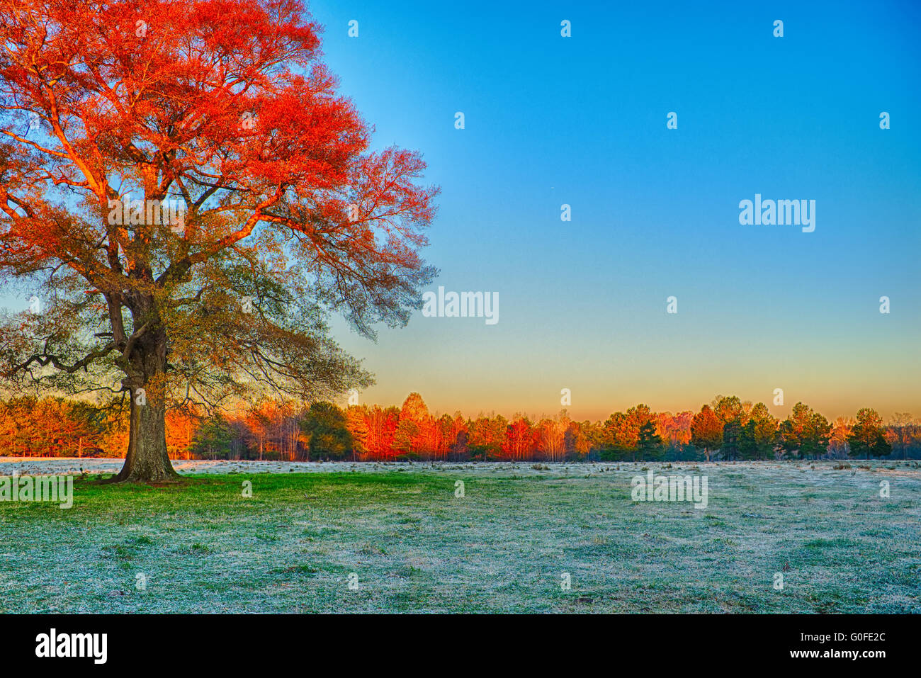 Feld-Hof mit Frost am Morgen Sonnenaufgang Stunde Stockfoto