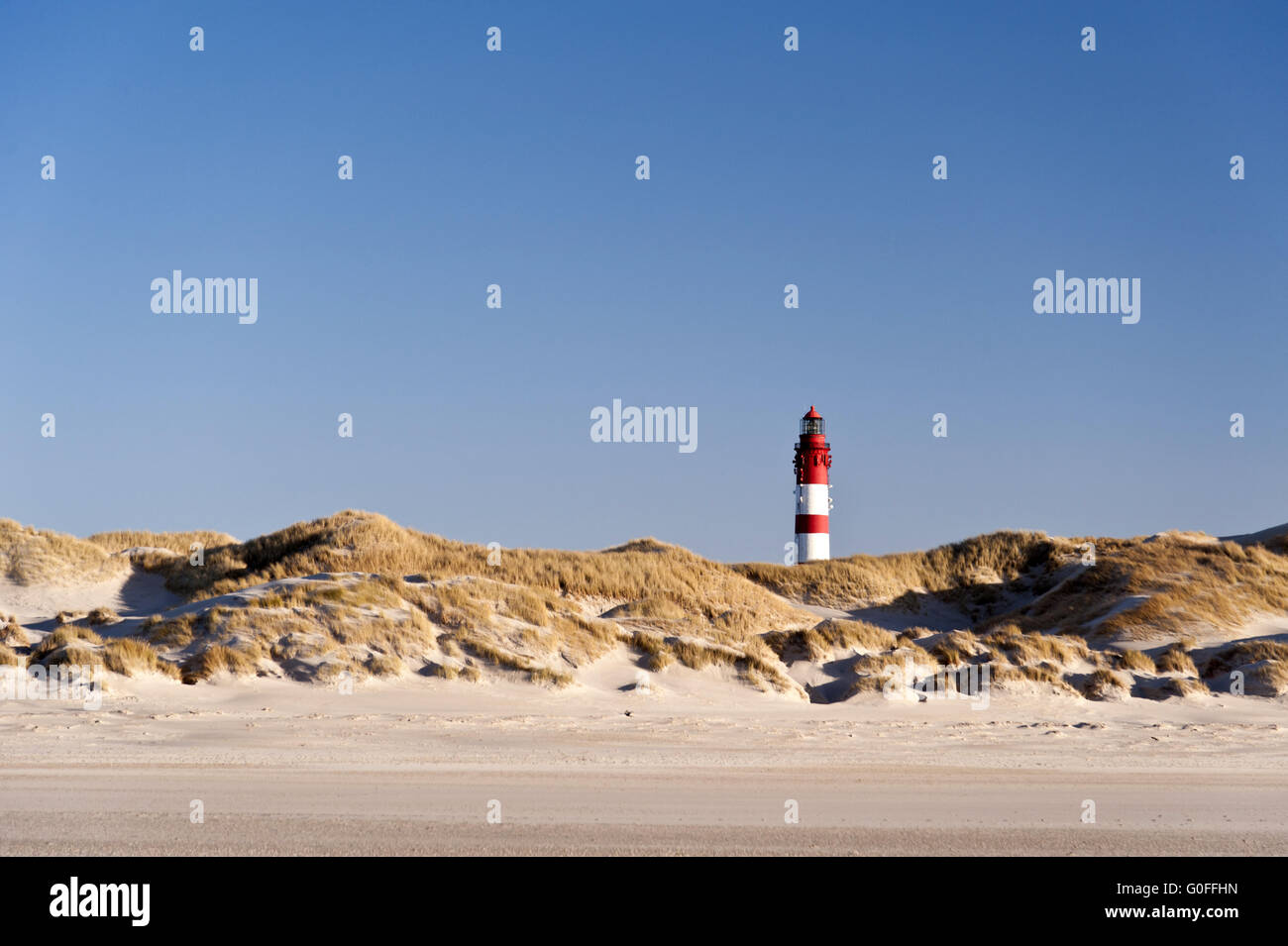 Leuchtturm von Amrum in Deutschland Stockfoto