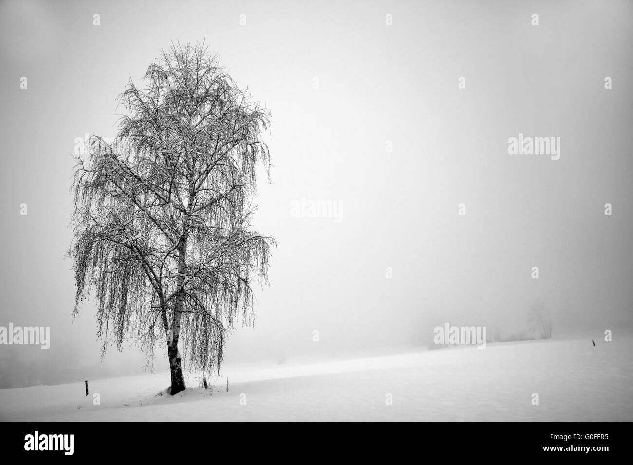 einsam Stockfoto