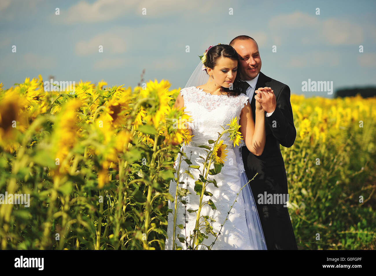 Glückliche Ehepaar auf dem Feld von Sonnenblumen Stockfoto