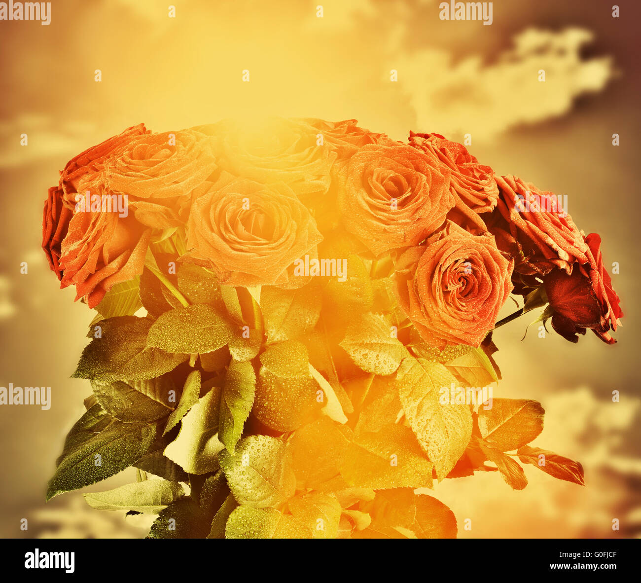 Nasse Rosen Blumenstrauß auf Himmelshintergrund. Jahrgang Stockfoto