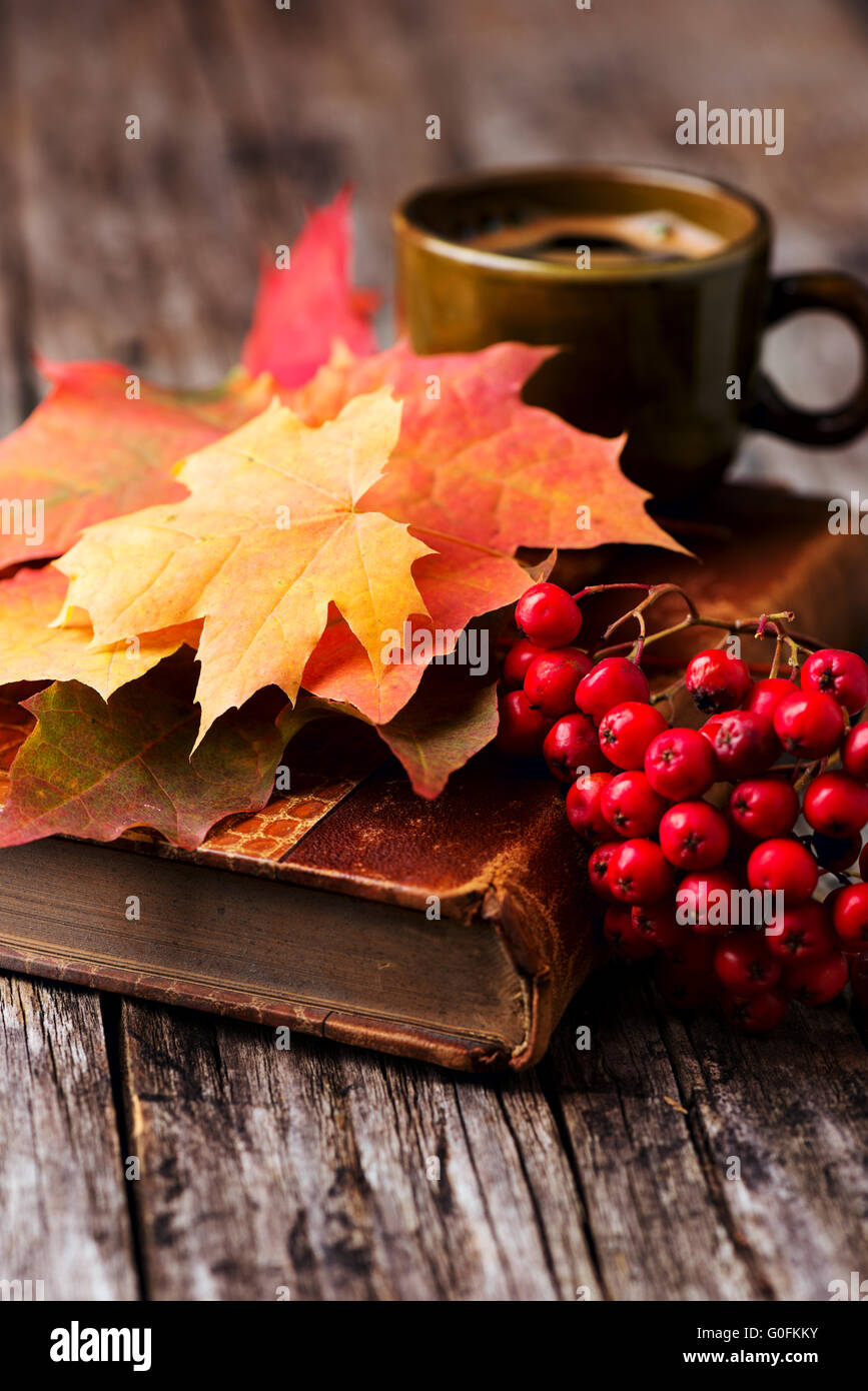 Herbstliche Stillleben am Holztisch Stockfoto
