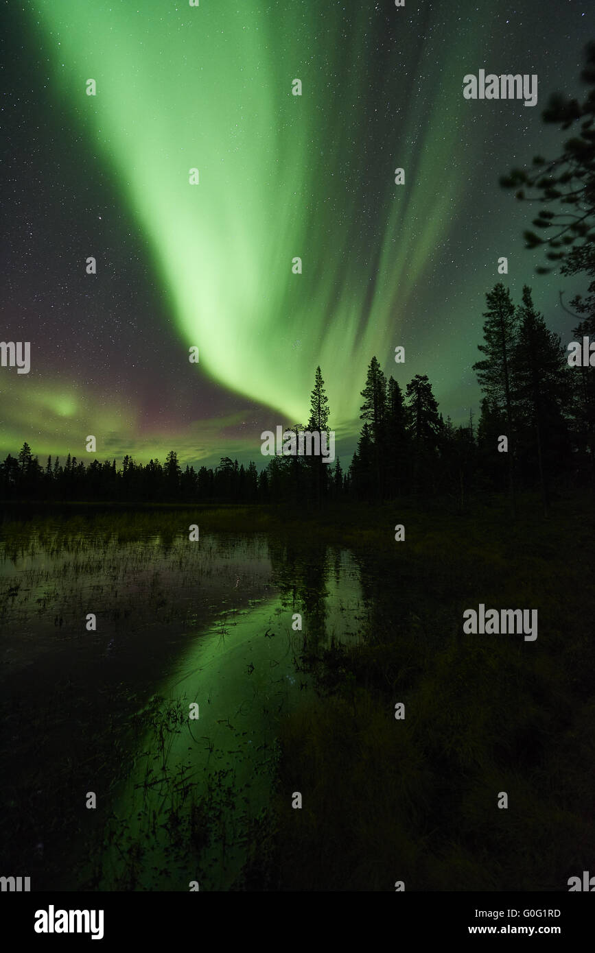 Nordlichter (Aurora Borealis), Lappland, Schweden Stockfoto
