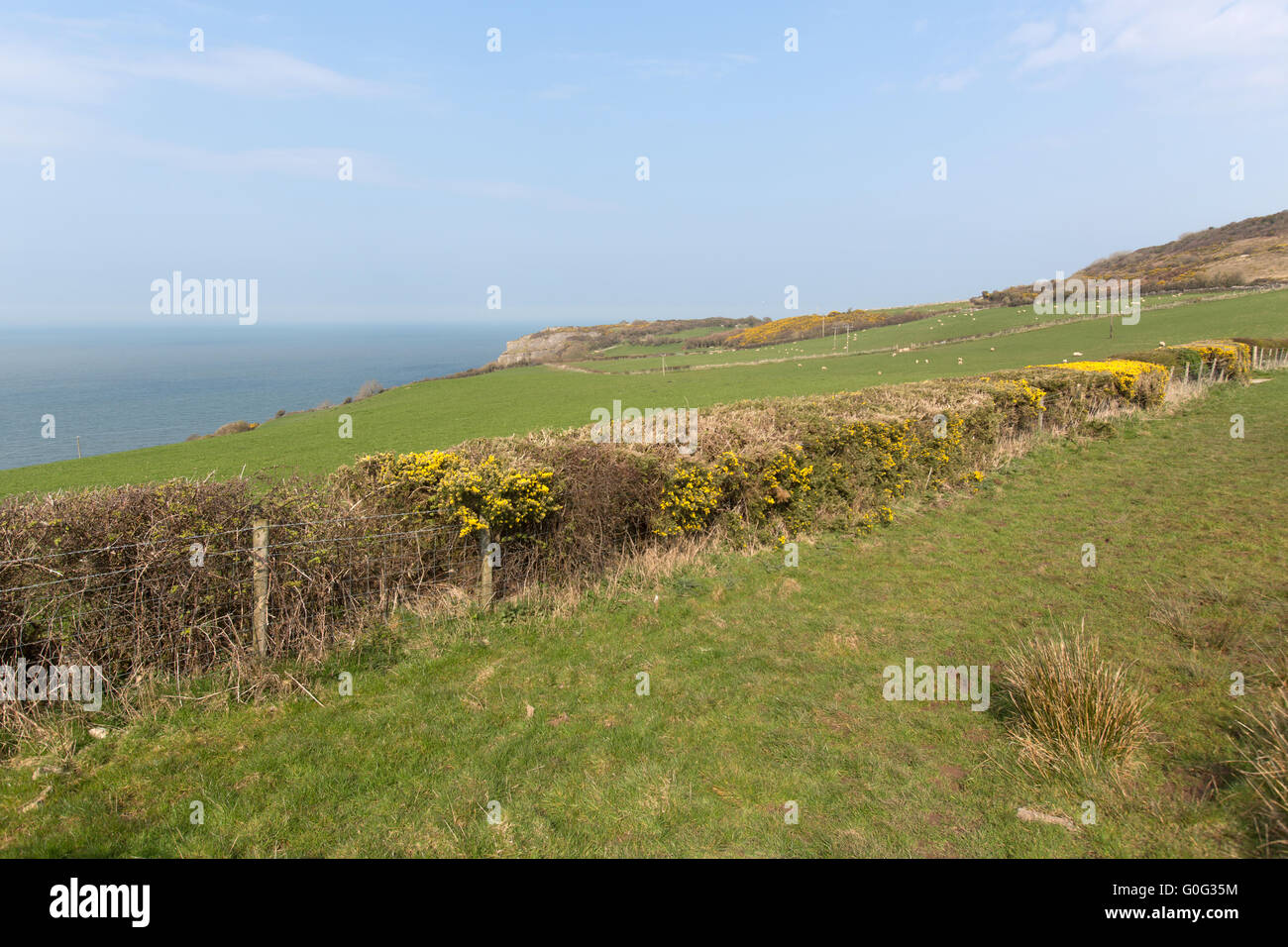 Malerische Frühjahr Blick auf die Küste Landzunge in der Red Wharf Bay, nahe dem Dorf Mariandyrys. Stockfoto