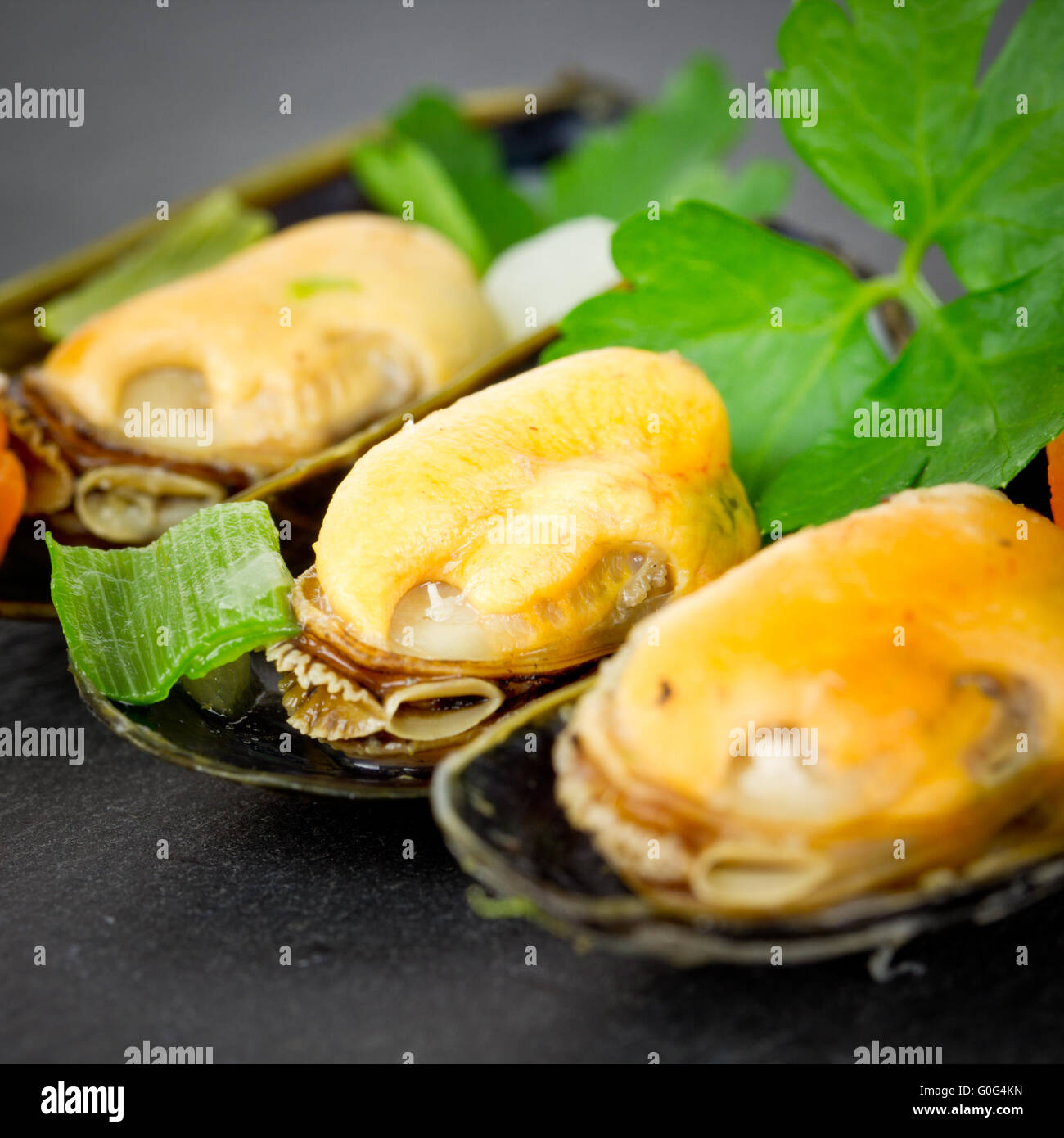 Muscheln Stockfoto